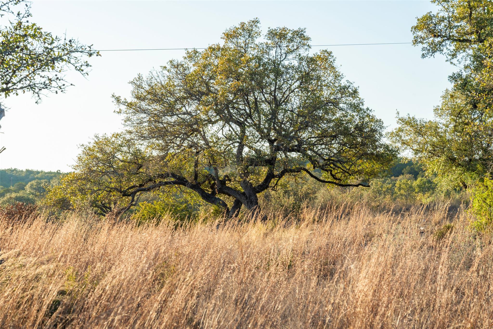 TBD Angel Light Dr, Spicewood, TX 78669