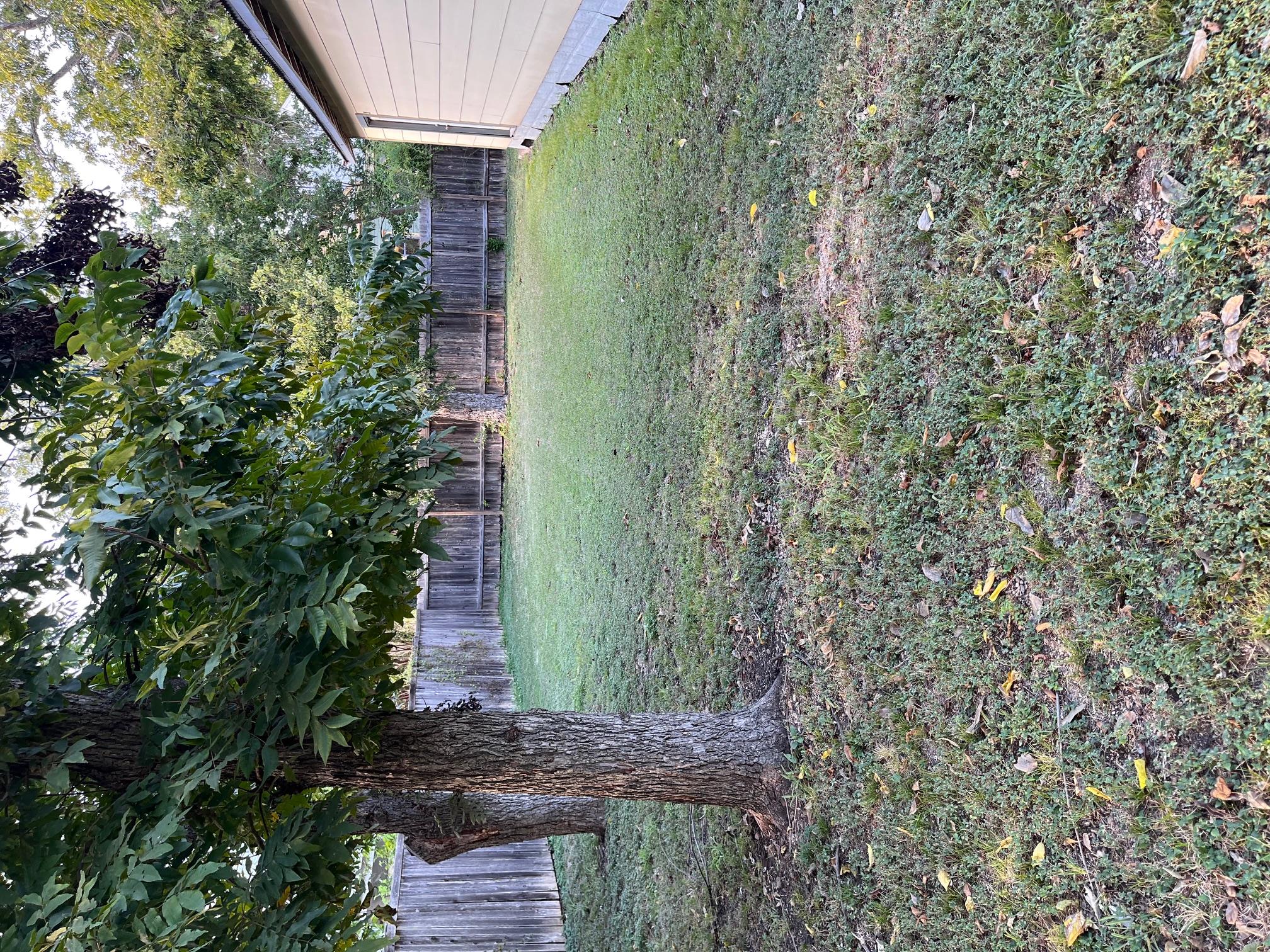 115 Guadalupe St, Lockhart, TX 78644