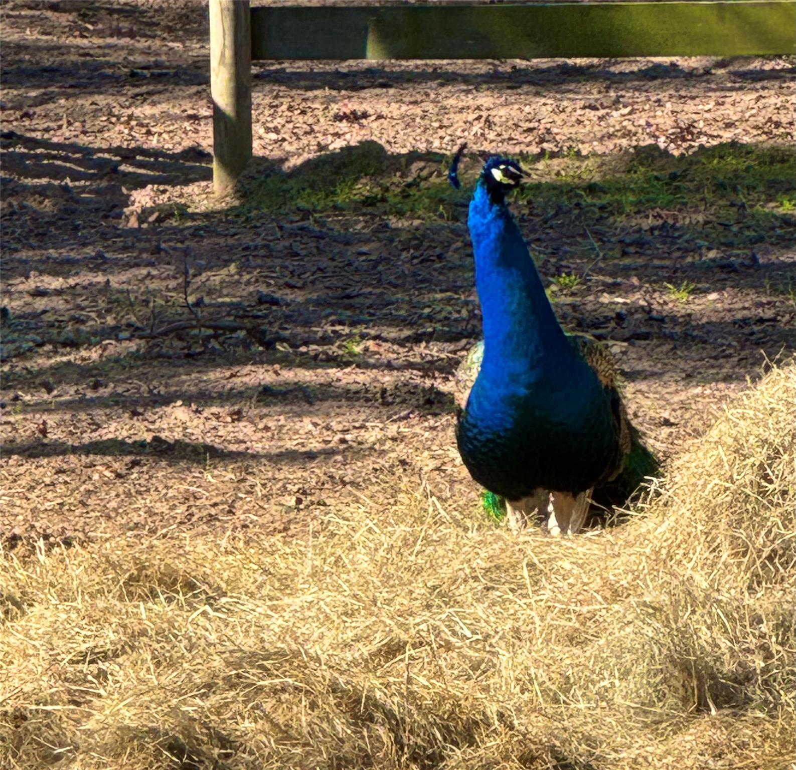 1760 County Road 215, Weimar, TX 78962