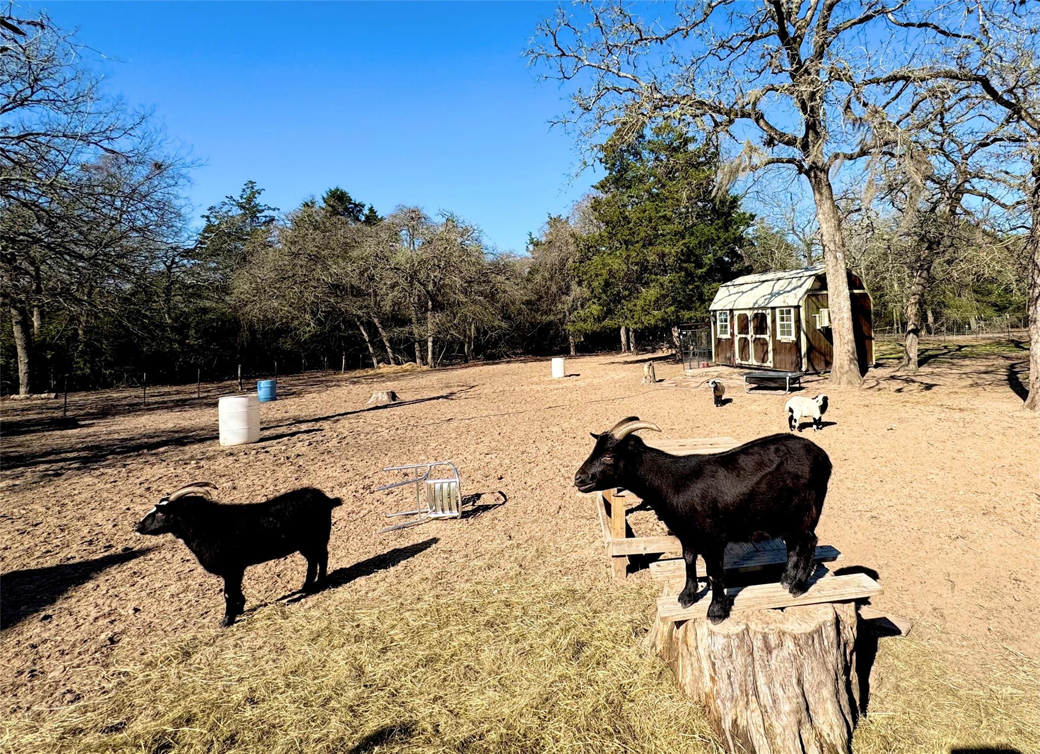 1760 County Road 215, Weimar, TX 78962