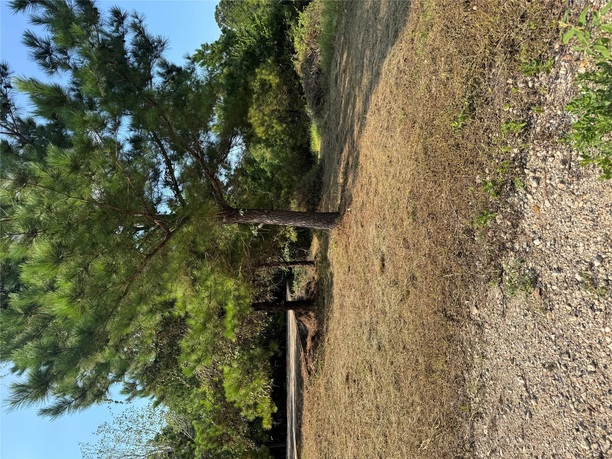 131 Nakalele Ln, Bastrop, TX 78602