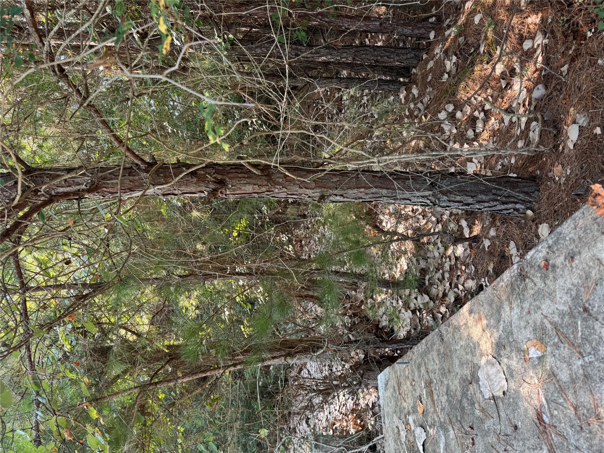 131 Nakalele Ln, Bastrop, TX 78602