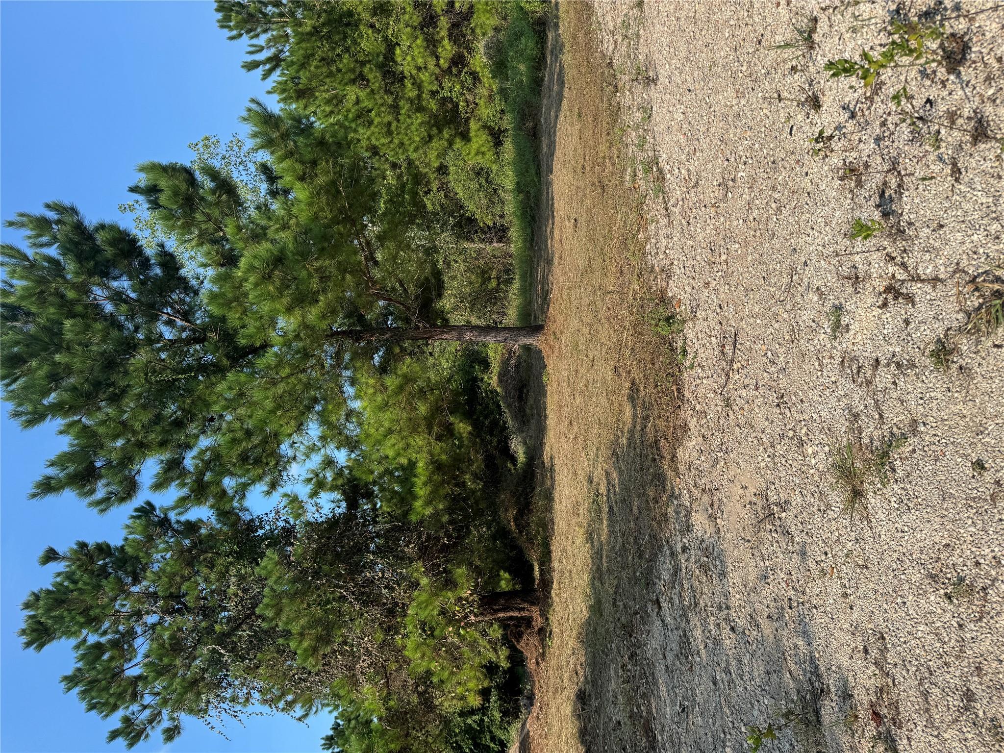 131 Nakalele Ln, Bastrop, TX 78602