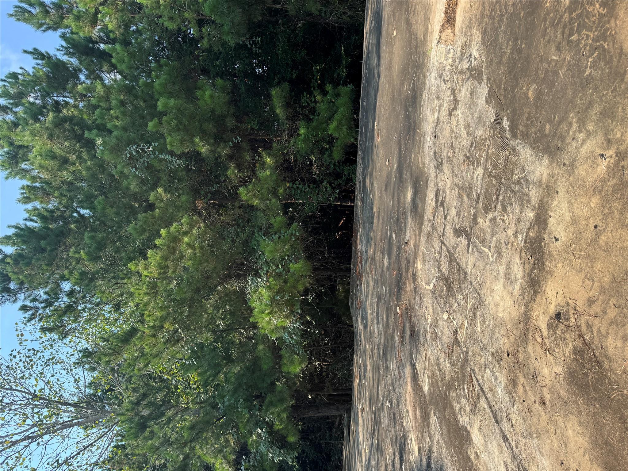 131 Nakalele Ln, Bastrop, TX 78602