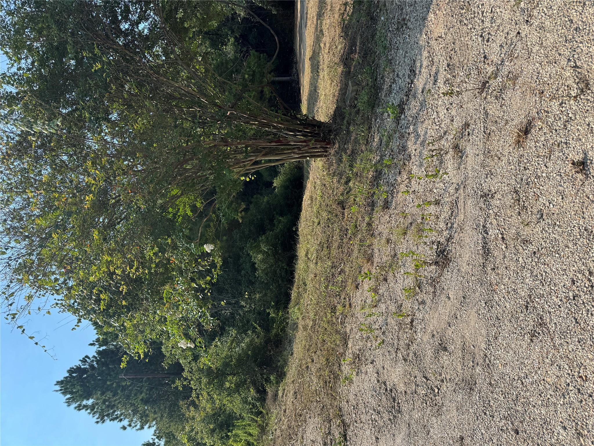 131 Nakalele Ln, Bastrop, TX 78602