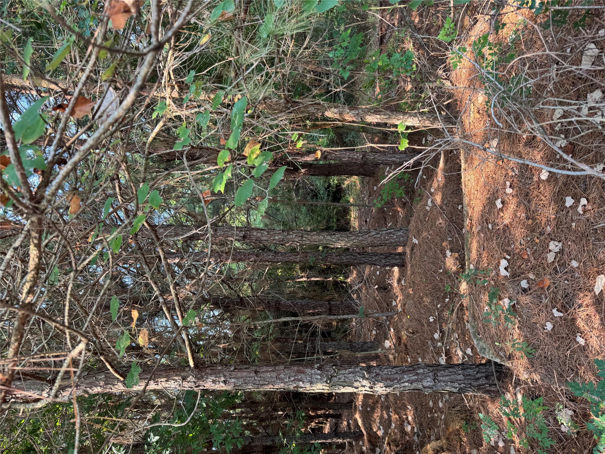 131 Nakalele Ln, Bastrop, TX 78602