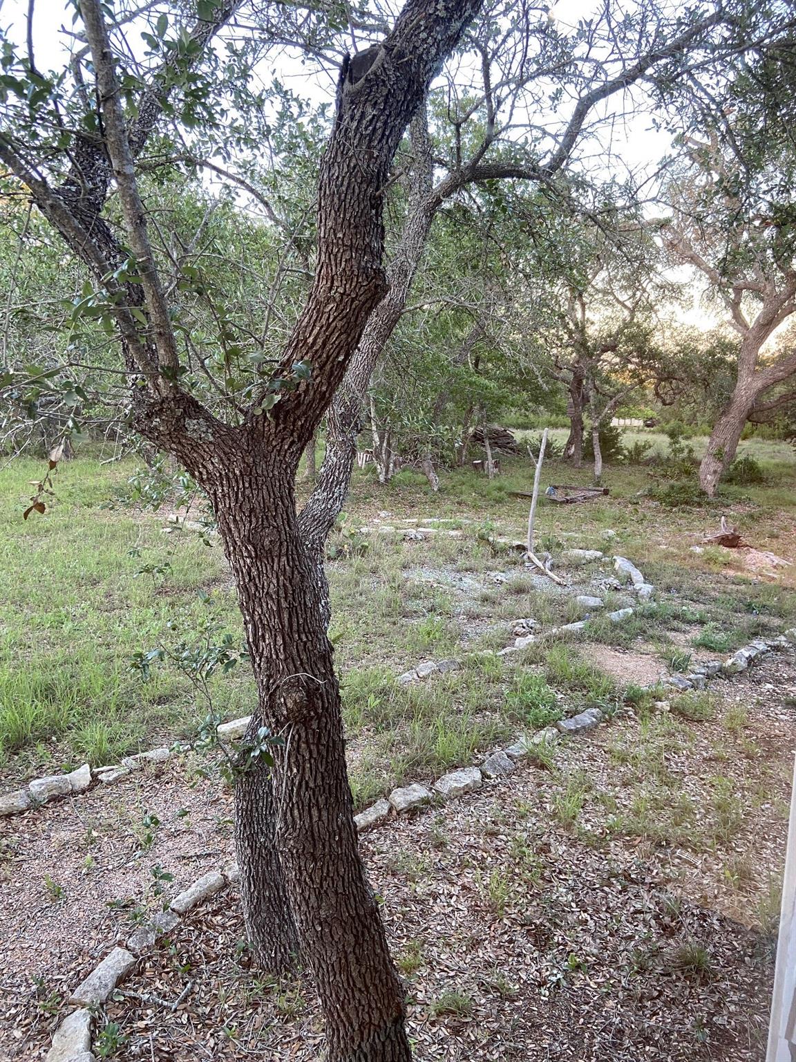 385 Country Ln, Dripping Springs, TX 78620