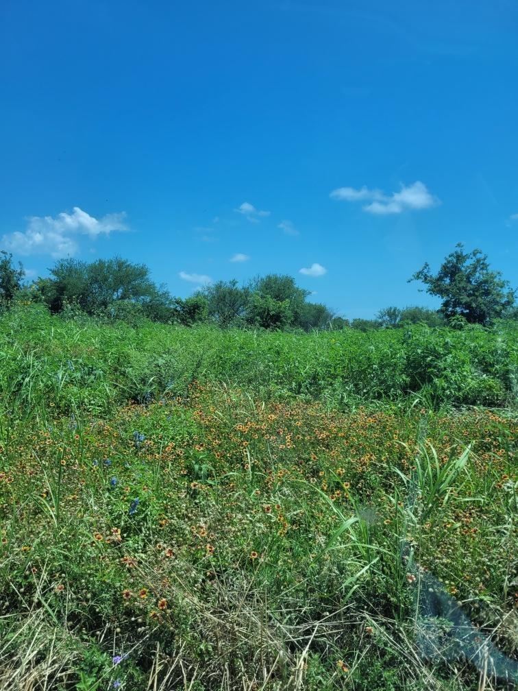 0 Emil Blank Rd, Yoakum, TX 77995