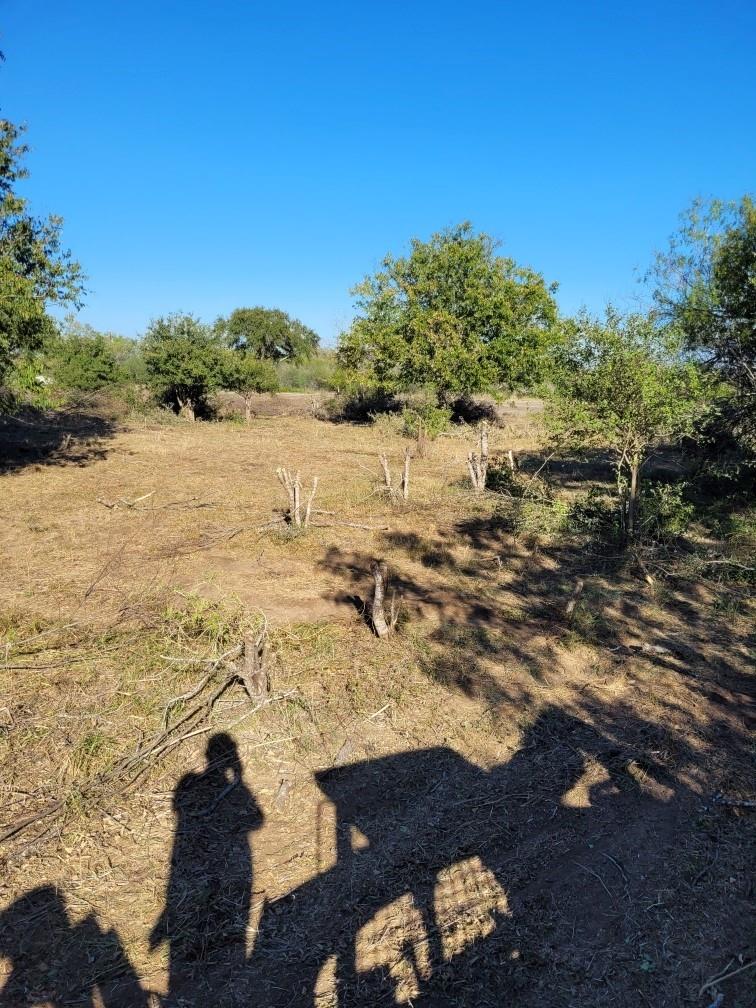 0 Emil Blank Rd, Yoakum, TX 77995