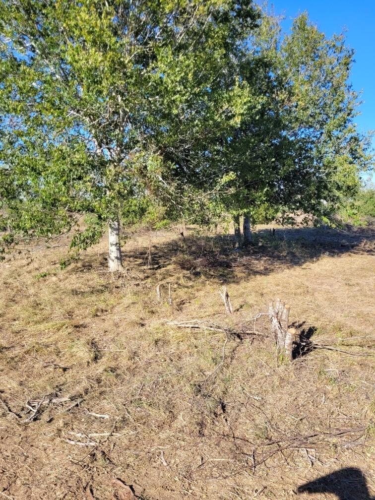 0 Emil Blank Rd, Yoakum, TX 77995