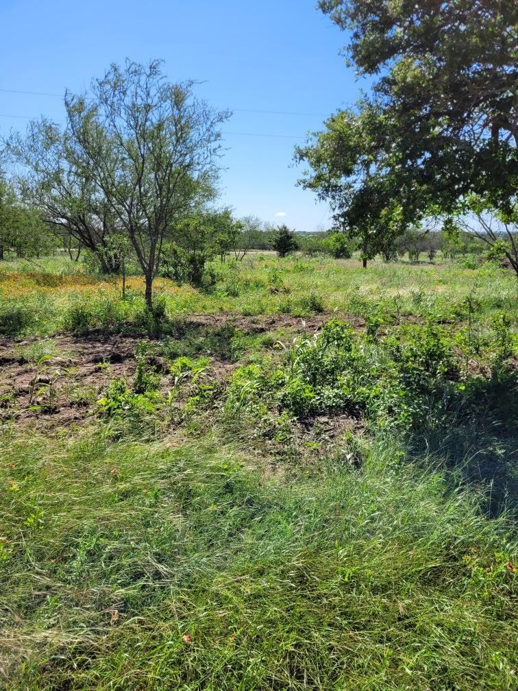 0 Emil Blank Rd, Yoakum, TX 77995