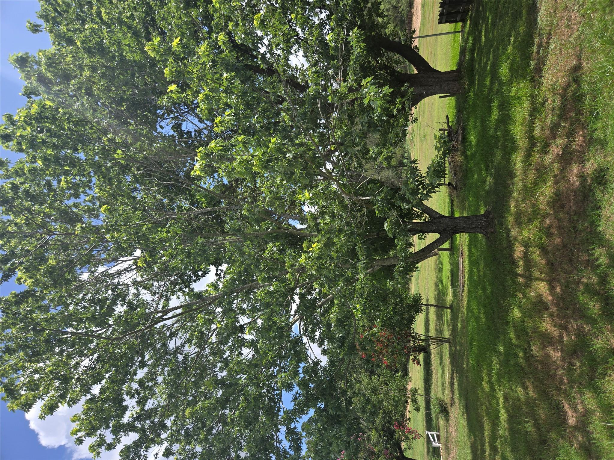 184 Kahana Ln, Bastrop, TX 78602