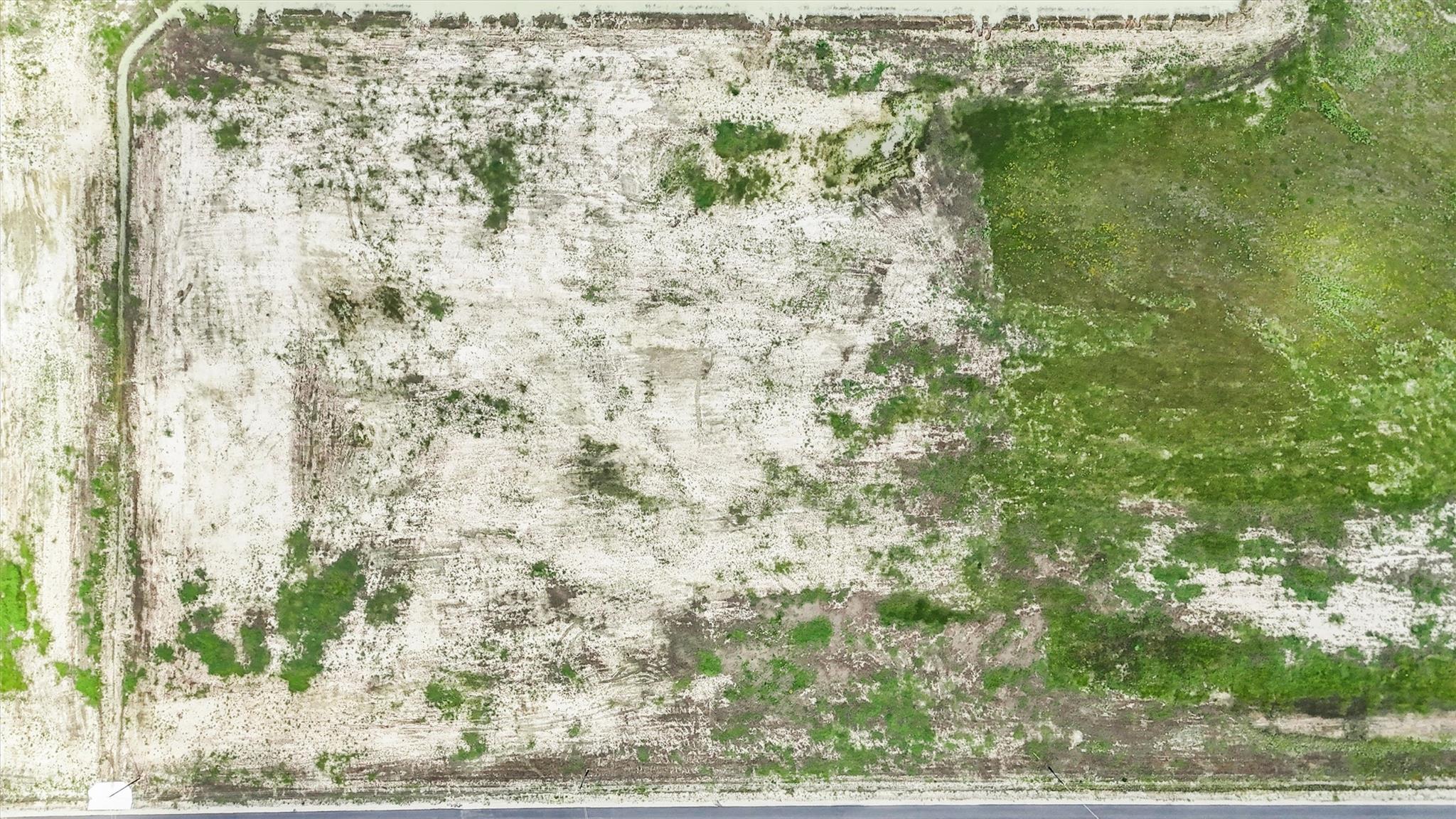 1231 Saddleback Dr, Bellville, TX 77418