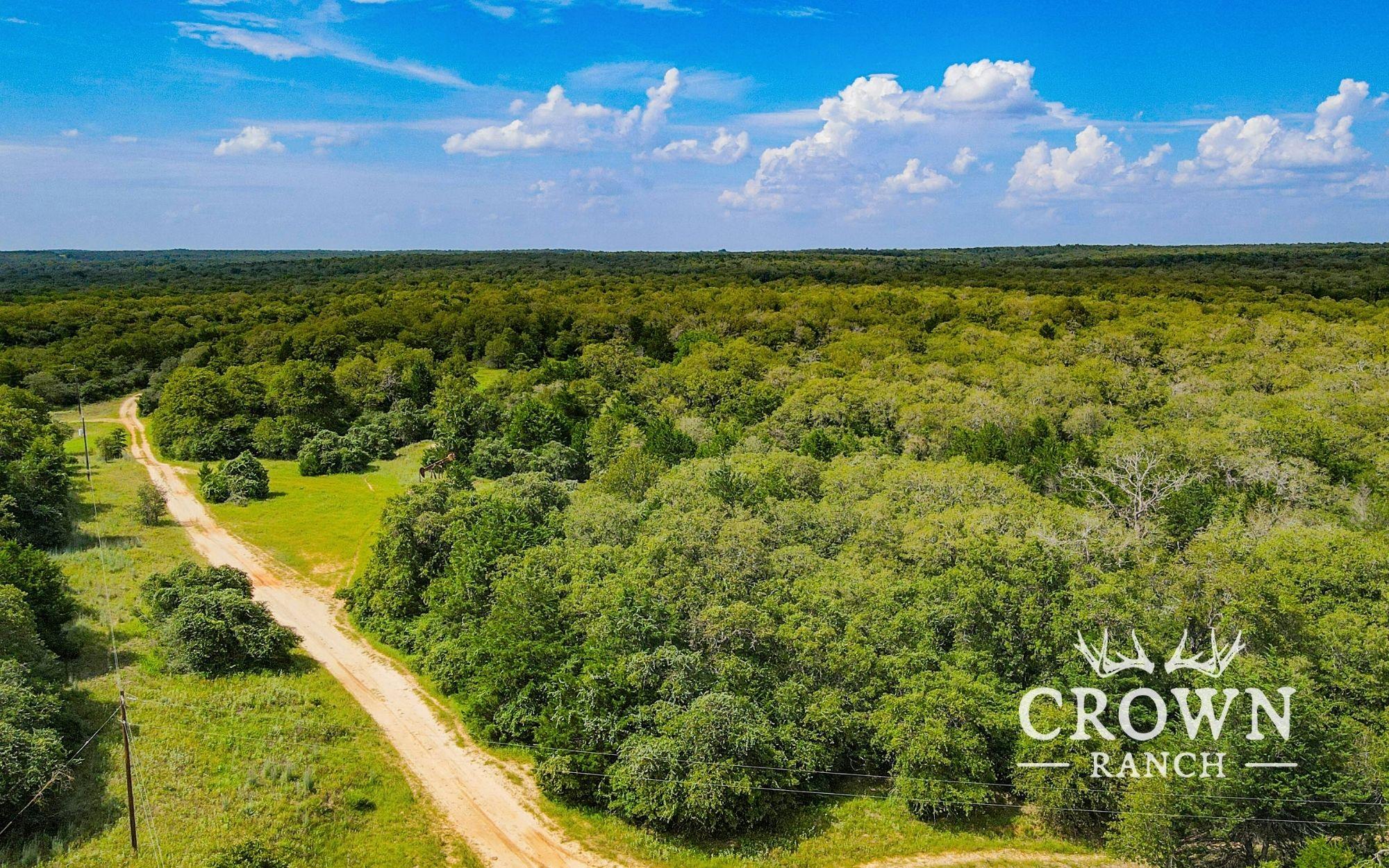 TBD FM 908 (+/-657 acres), Caldwell, TX 77836