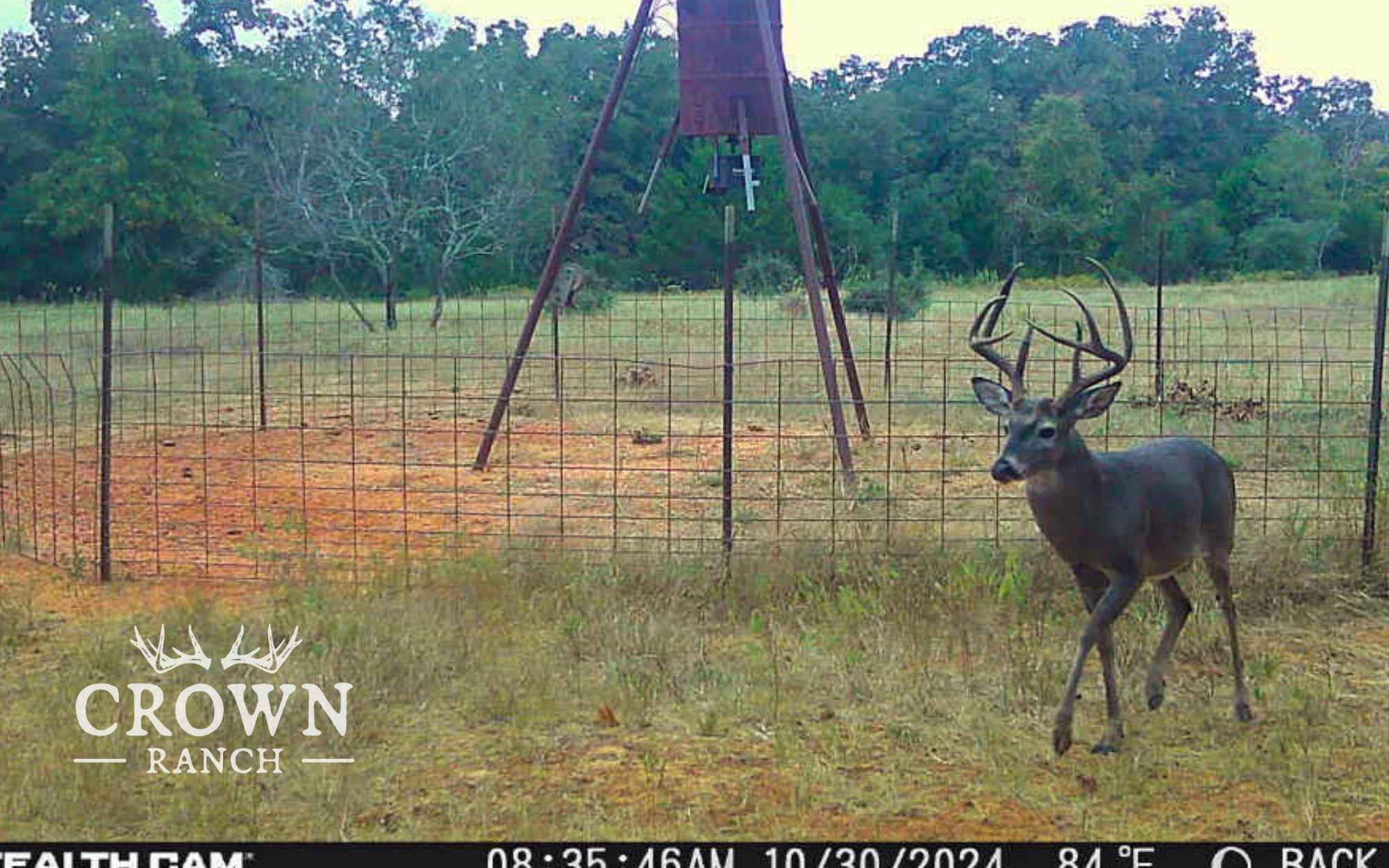 TBD FM 908 (+/-657 acres), Caldwell, TX 77836