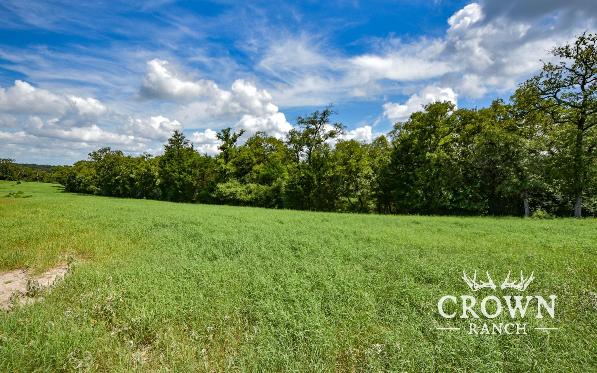 TBD FM 908 (+/-657 acres), Caldwell, TX 77836