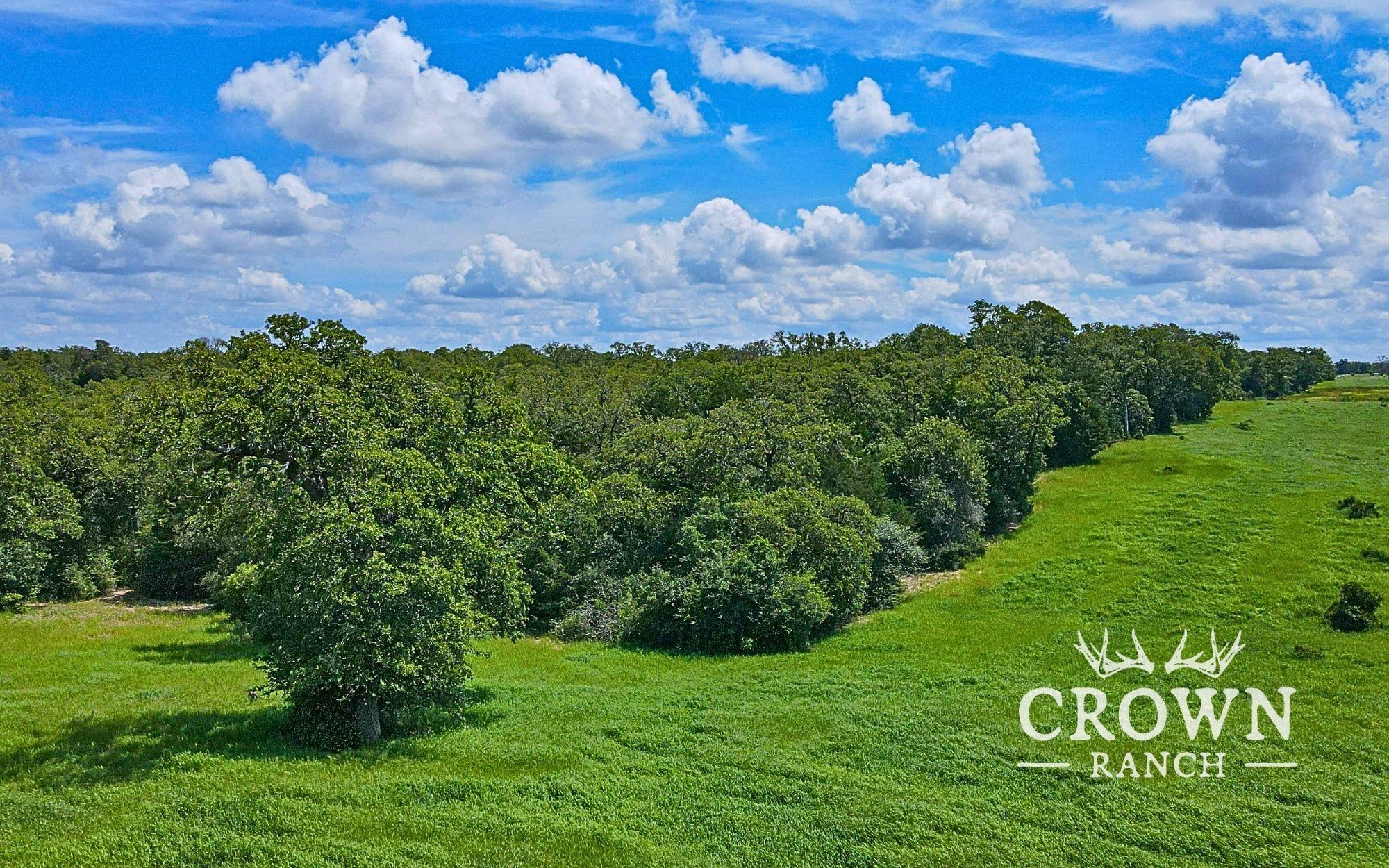 TBD FM 908 (+/-657 acres), Caldwell, TX 77836