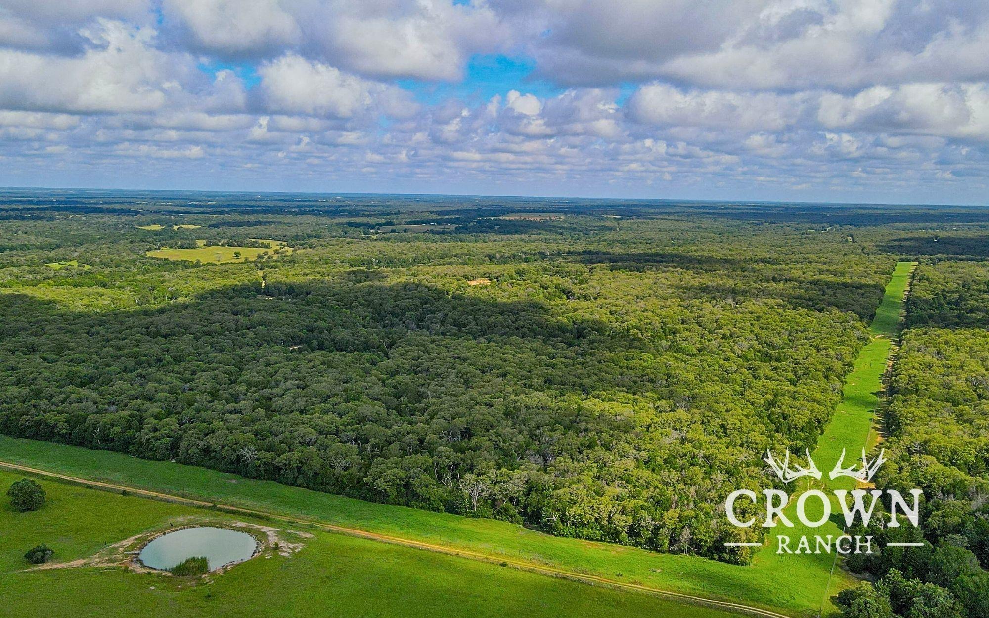 TBD FM 908 (+/-657 acres), Caldwell, TX 77836