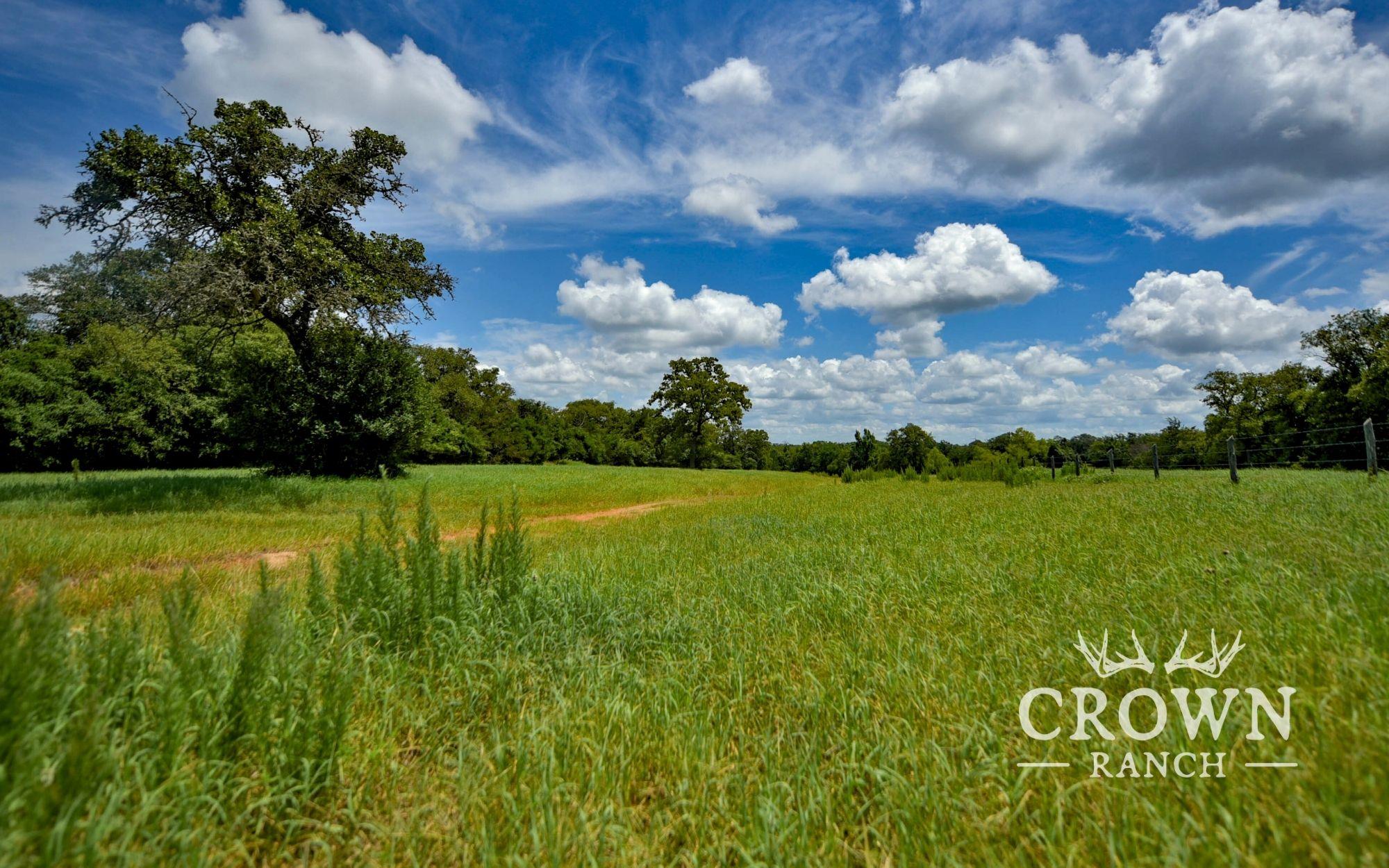 TBD FM 908 (+/-657 acres), Caldwell, TX 77836