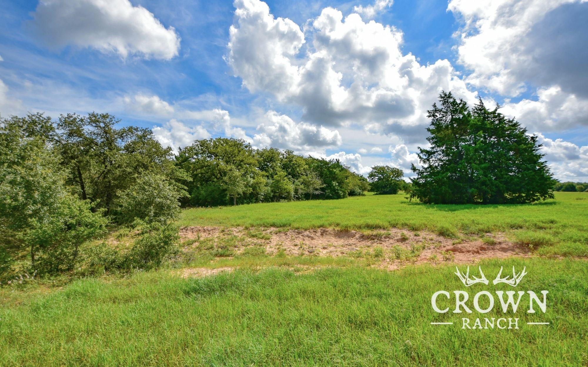 TBD FM 908 (+/-657 acres), Caldwell, TX 77836