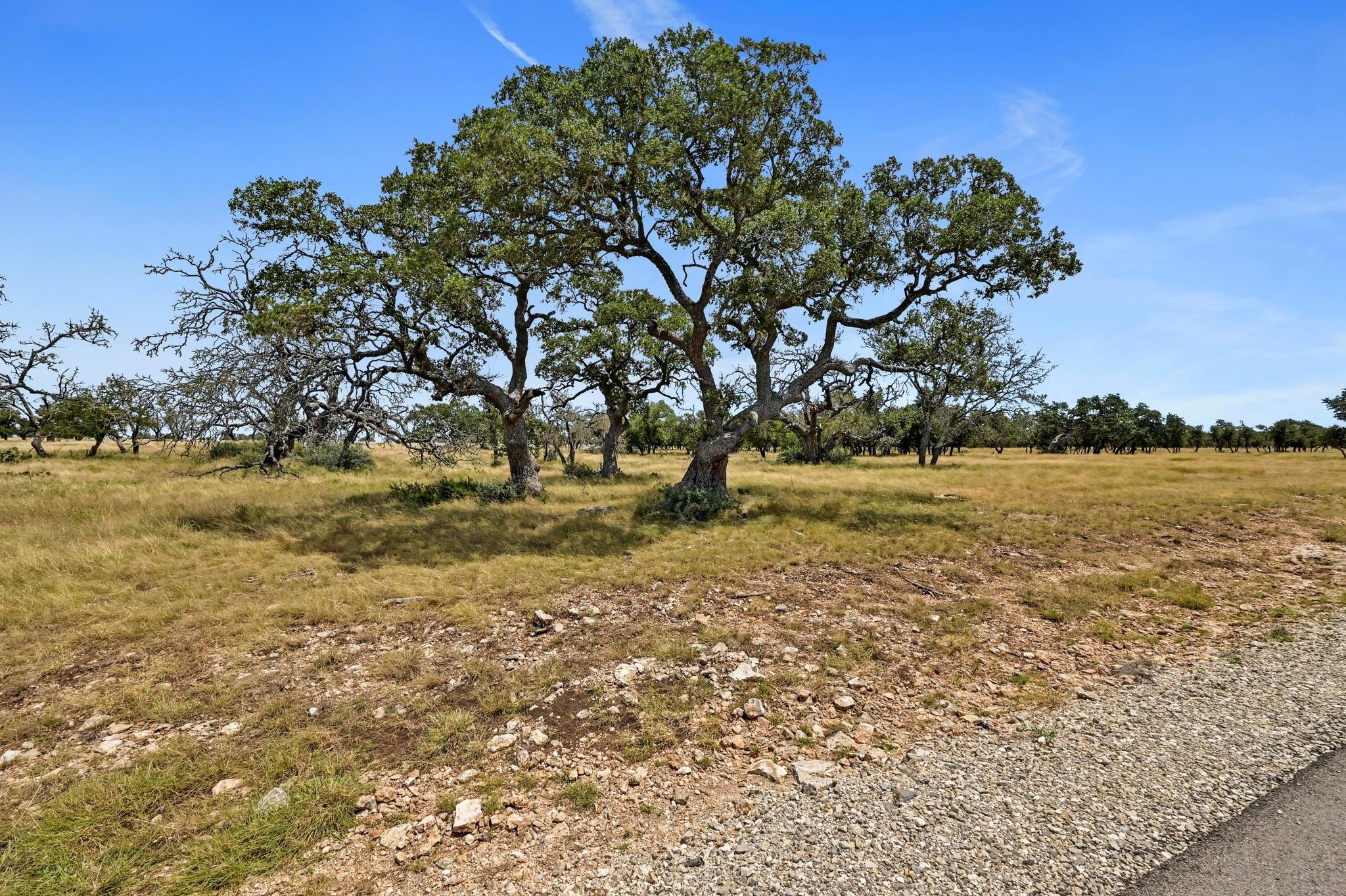 TBD Pack Saddle Dr, Harper, TX 78631