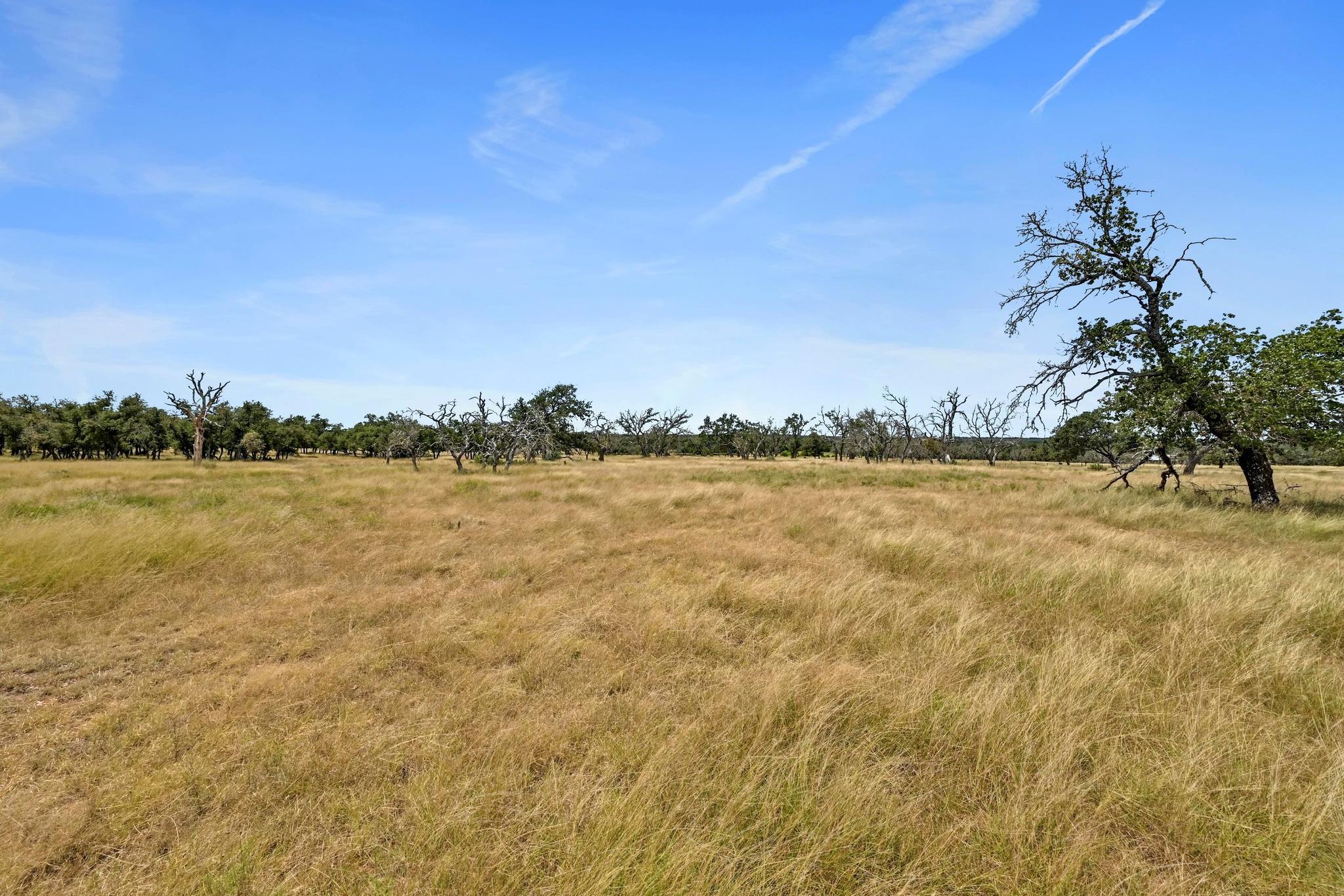 TBD Pack Saddle Dr, Harper, TX 78631