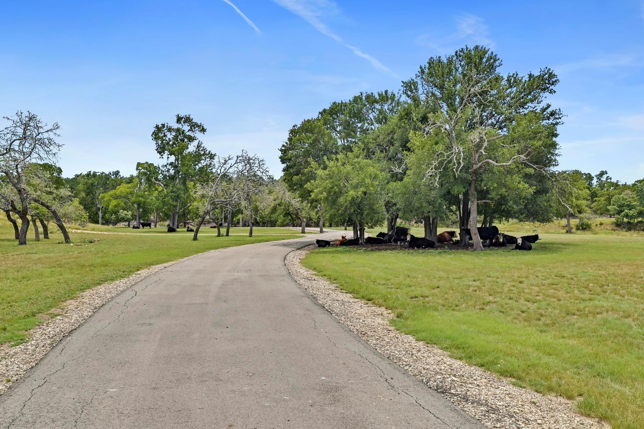 TBD Pack Saddle Dr, Harper, TX 78631