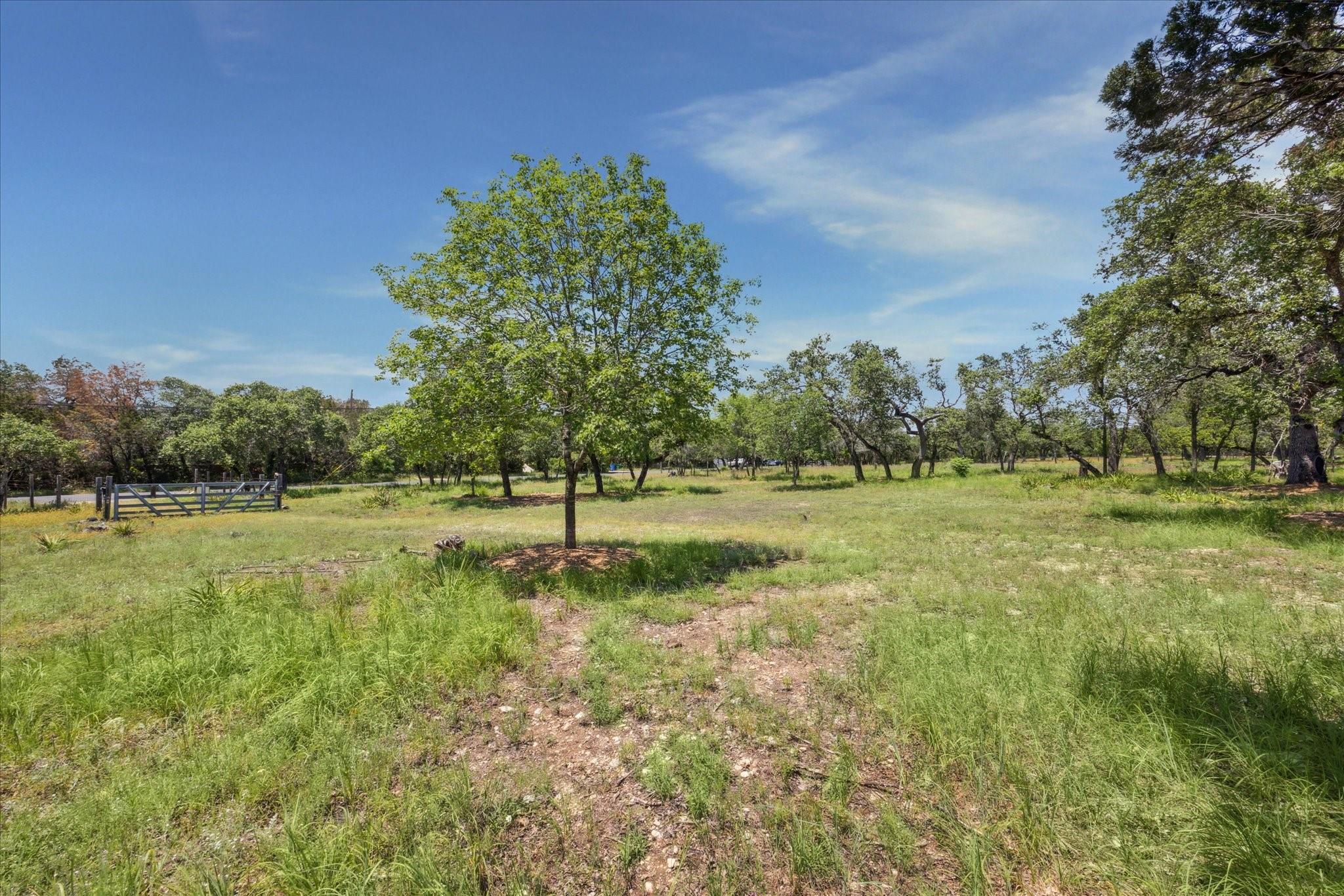 16043 Pool Canyon Rd, Austin, TX 78734