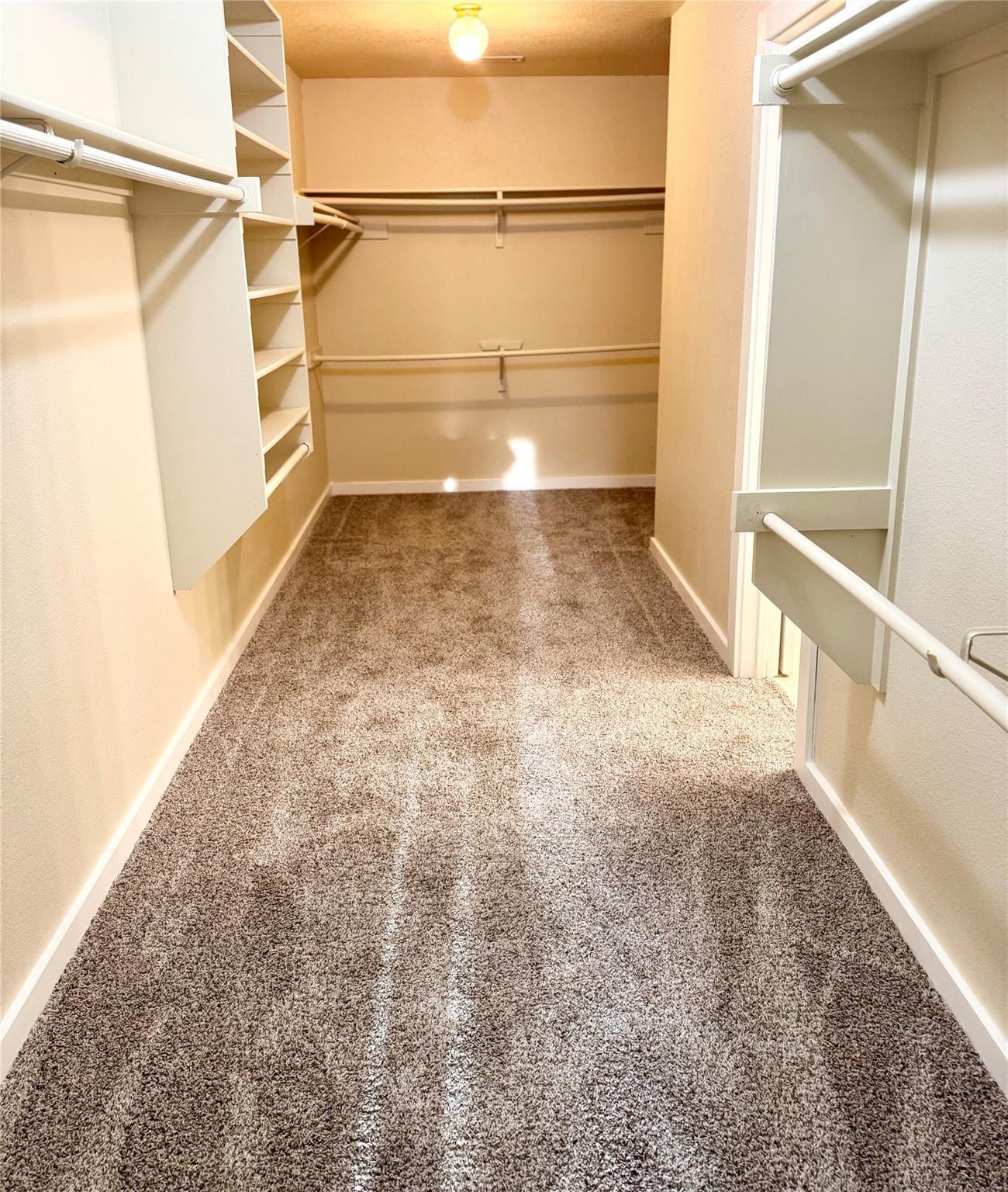 20805 Trotters Ln, Pflugerville, TX 78660