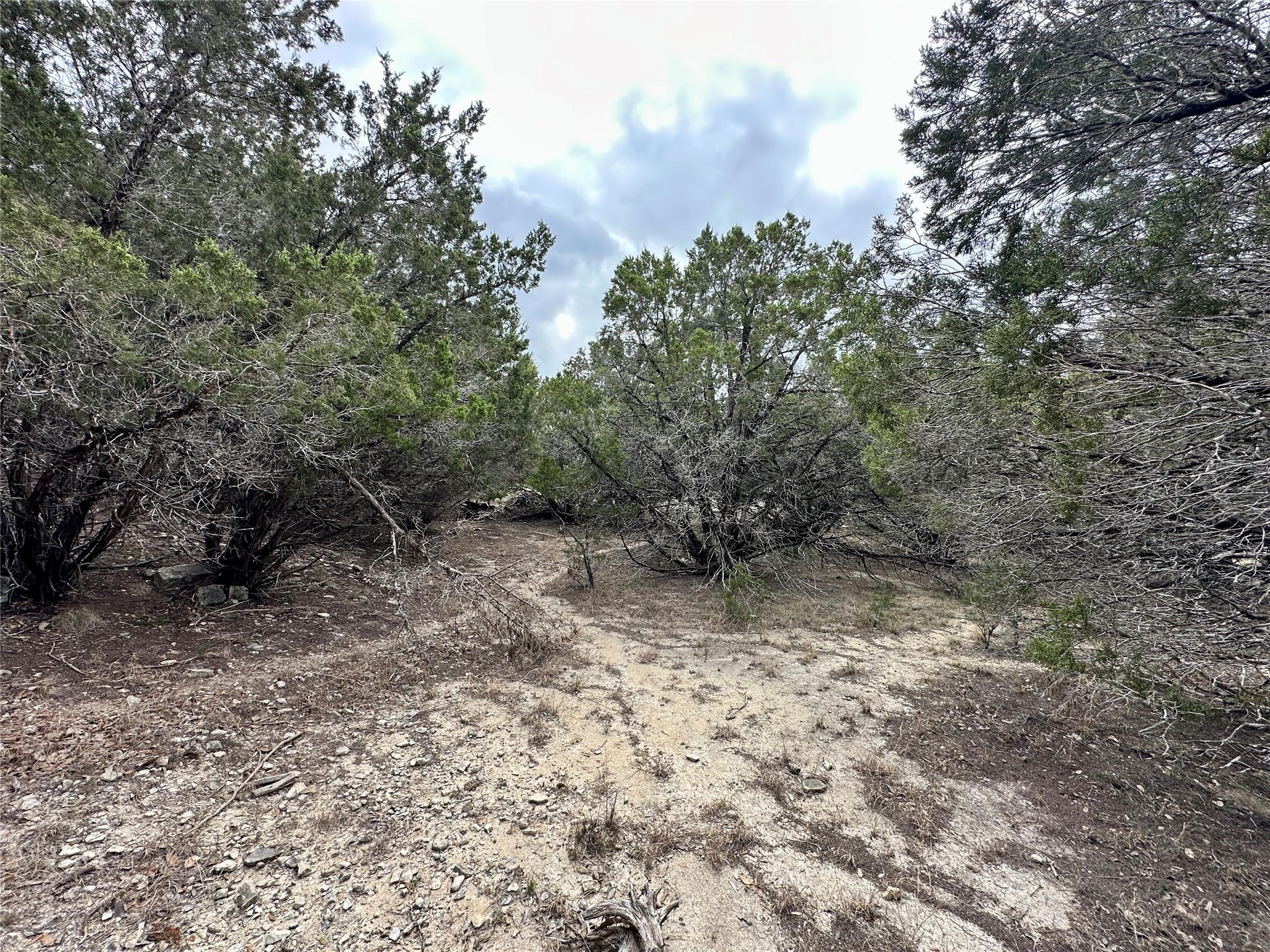 3208 Morgan Ln, Lago Vista, TX 78645