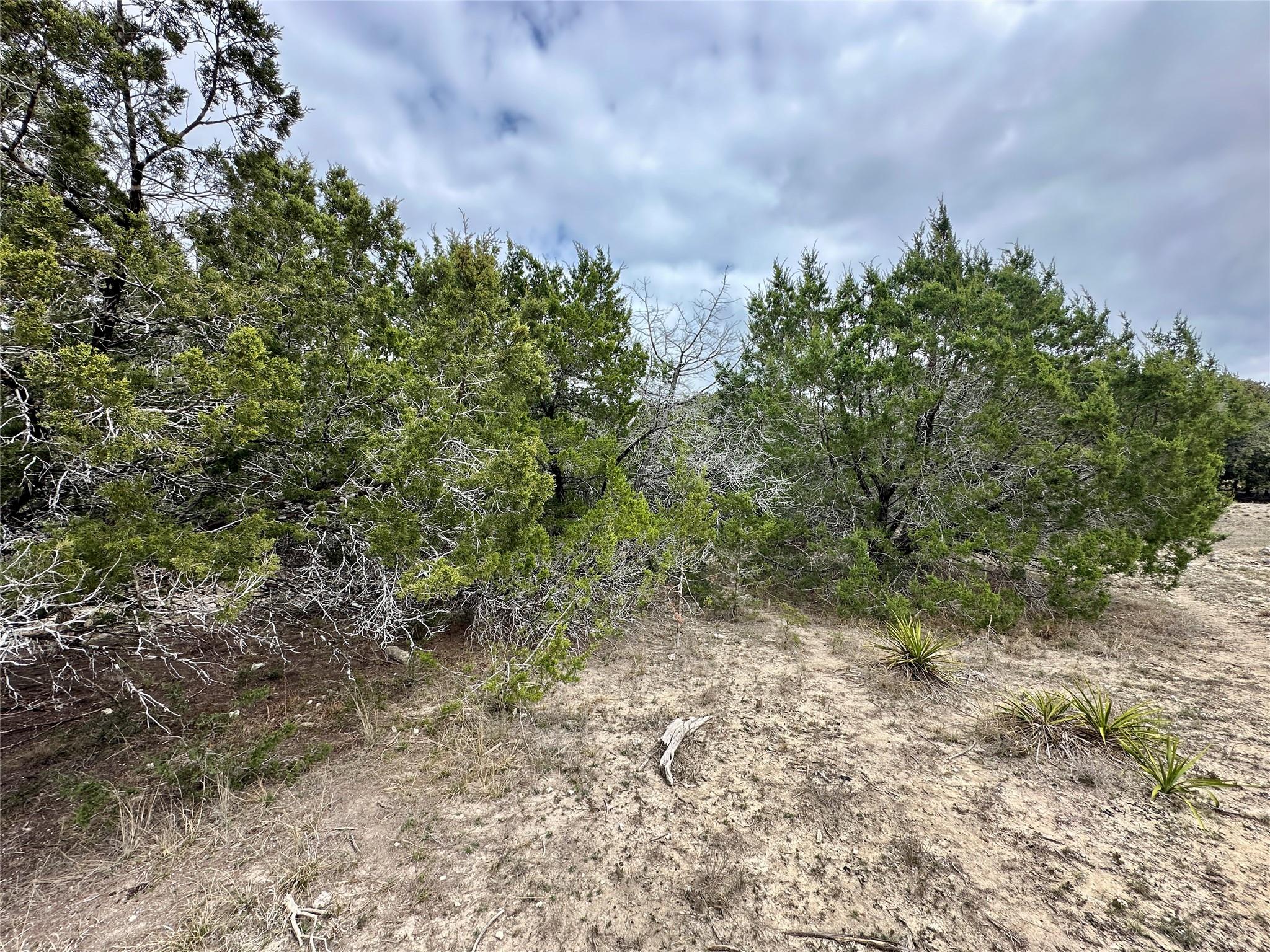 3208 Morgan Ln, Lago Vista, TX 78645