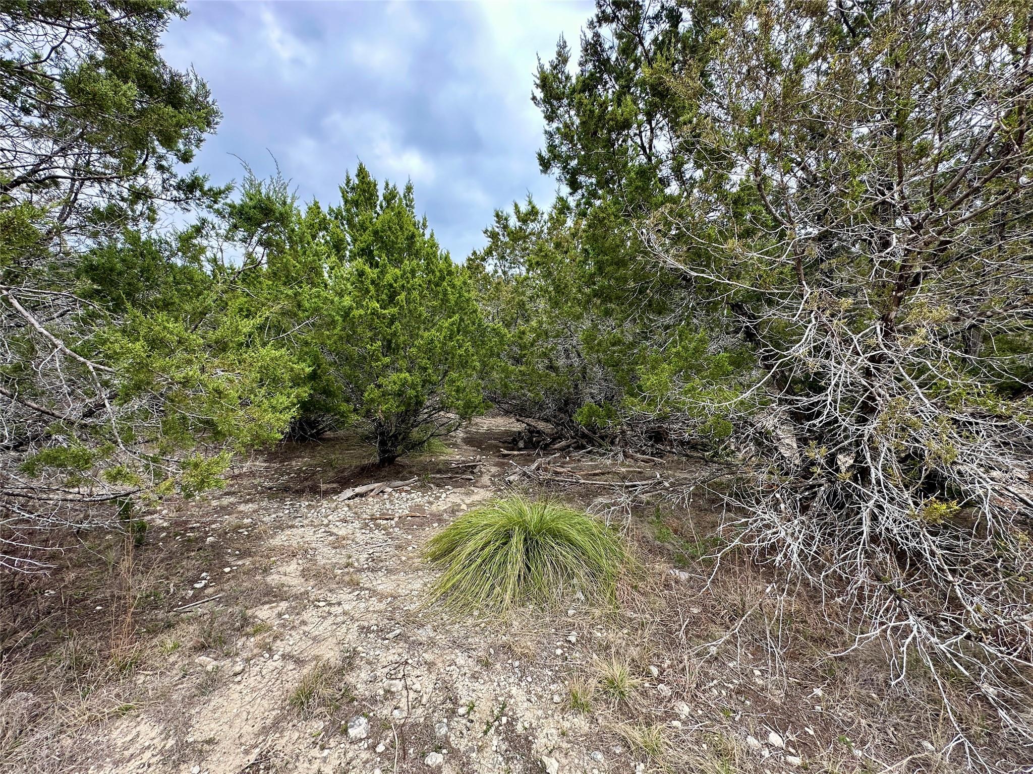 3208 Morgan Ln, Lago Vista, TX 78645