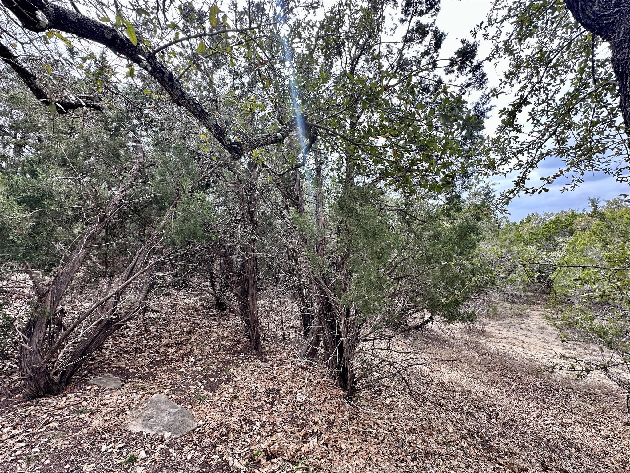 3208 Morgan Ln, Lago Vista, TX 78645