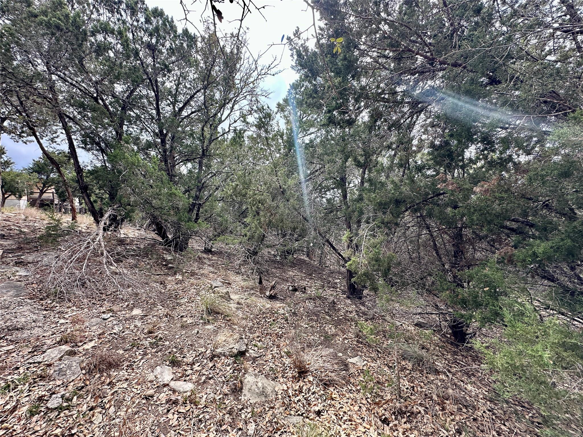 3208 Morgan Ln, Lago Vista, TX 78645