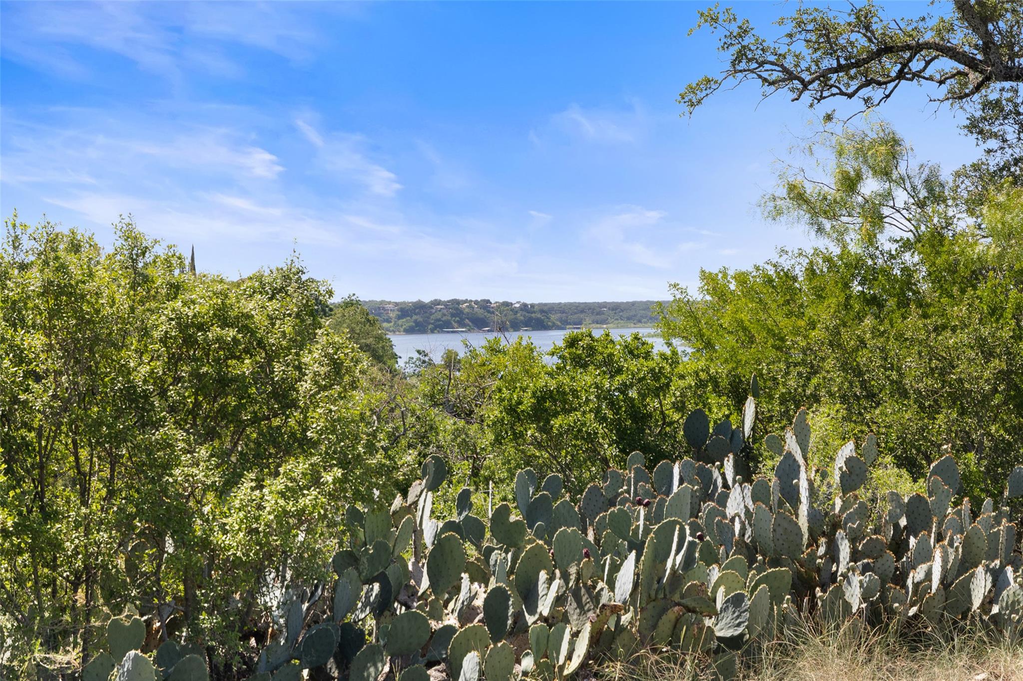 2928 Cliff Overlook, Spicewood, TX 78669