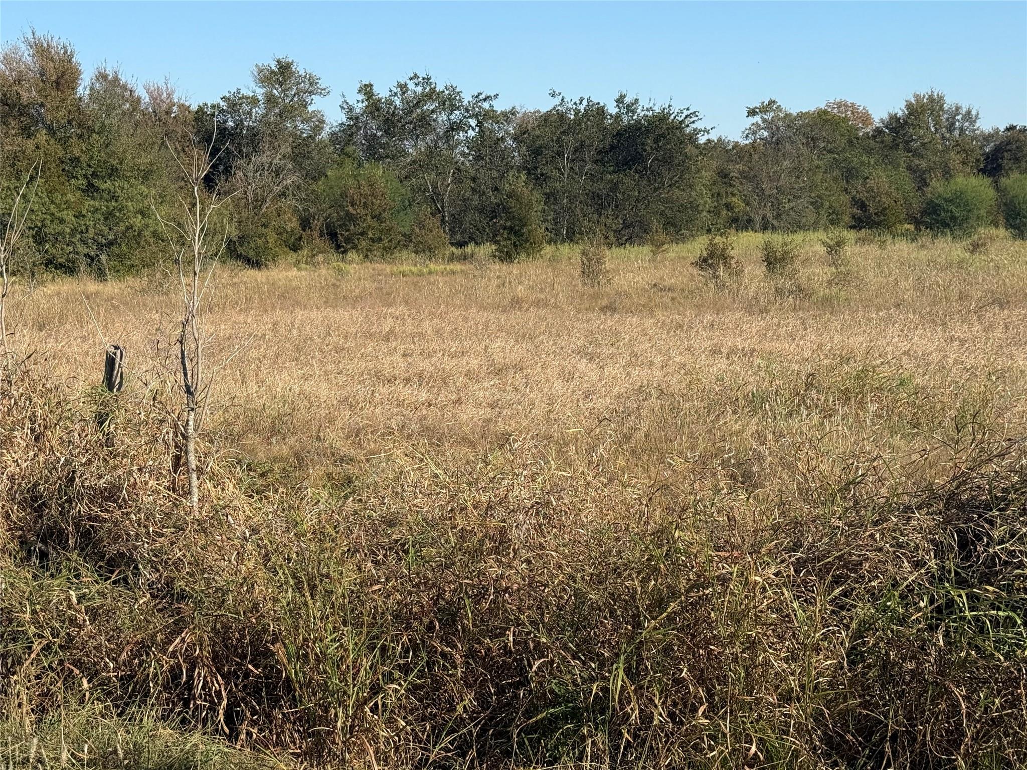 TBD Fm 712, Marlin, TX 76661