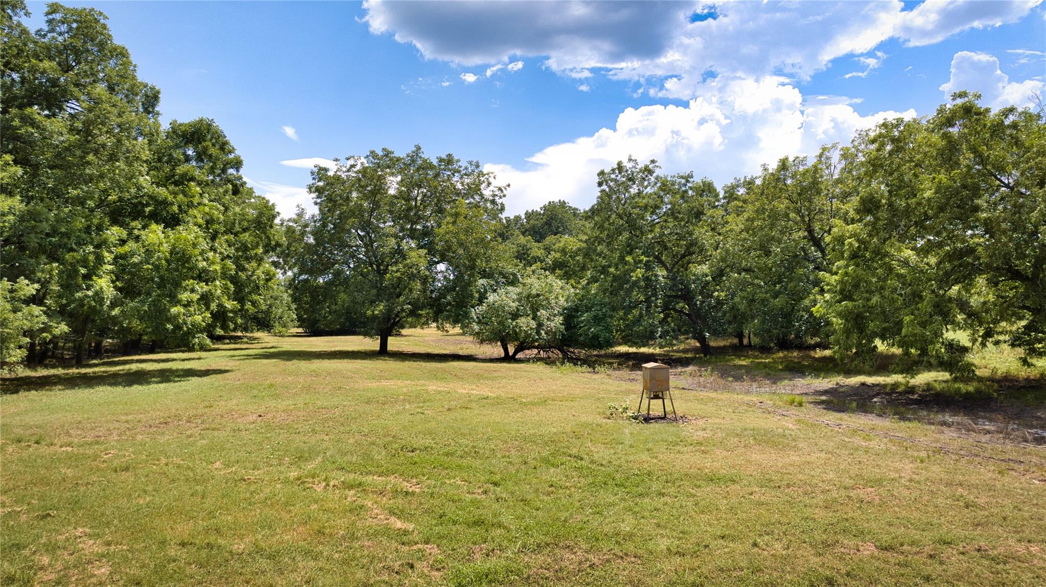 4935 Oglesby Neff Park Rd, Moody, TX 76557