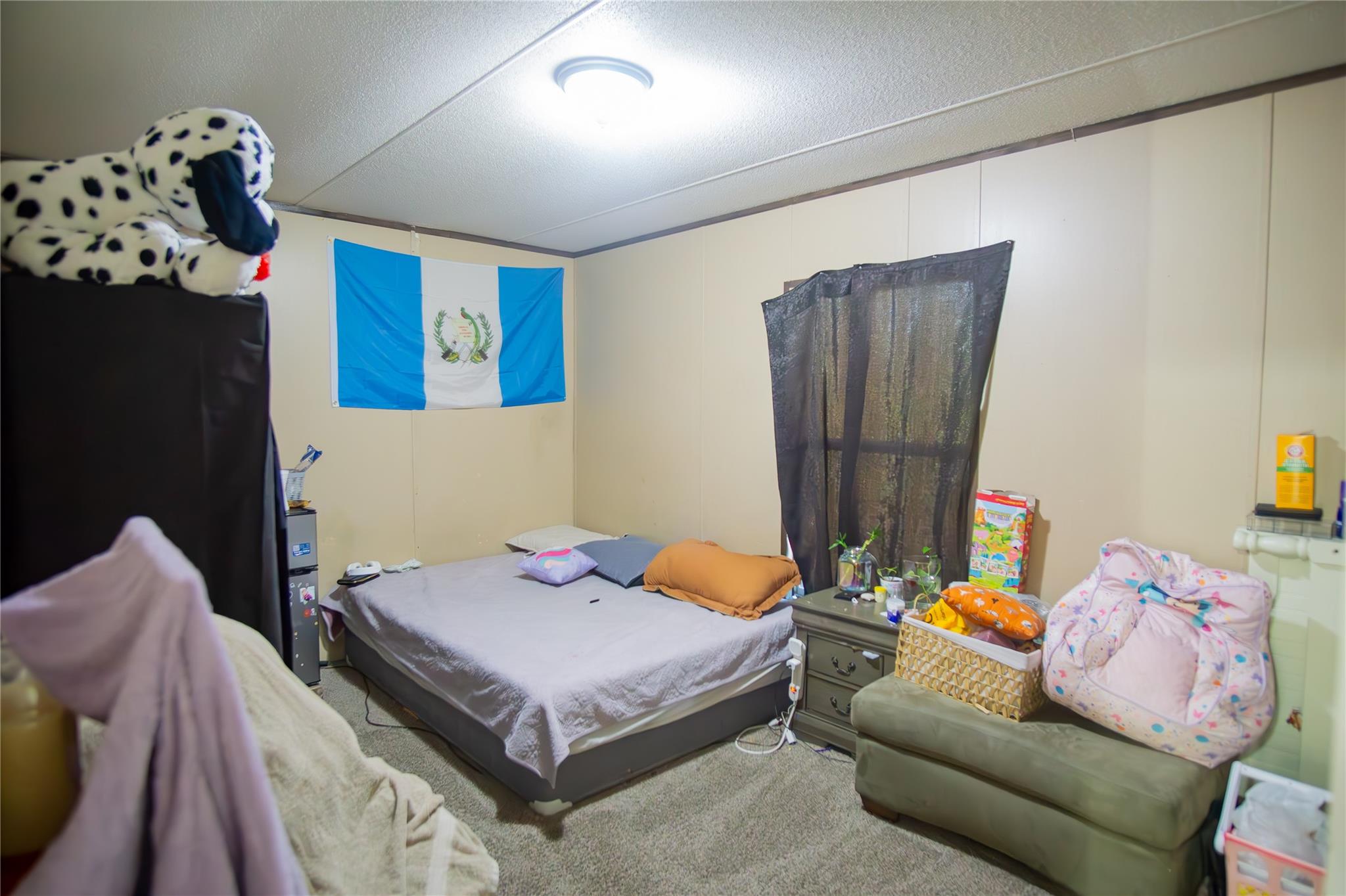 205 Arrowhead Cv, Kyle, TX 78640