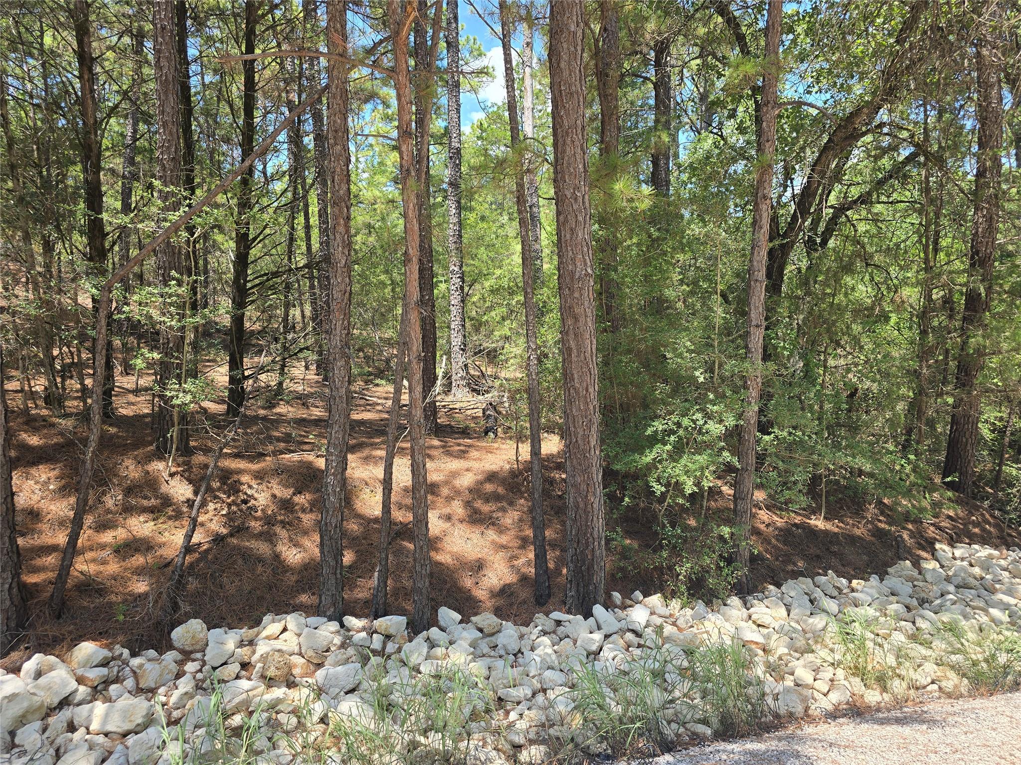 Lot 356 Wainee Dr, Bastrop, TX 78602