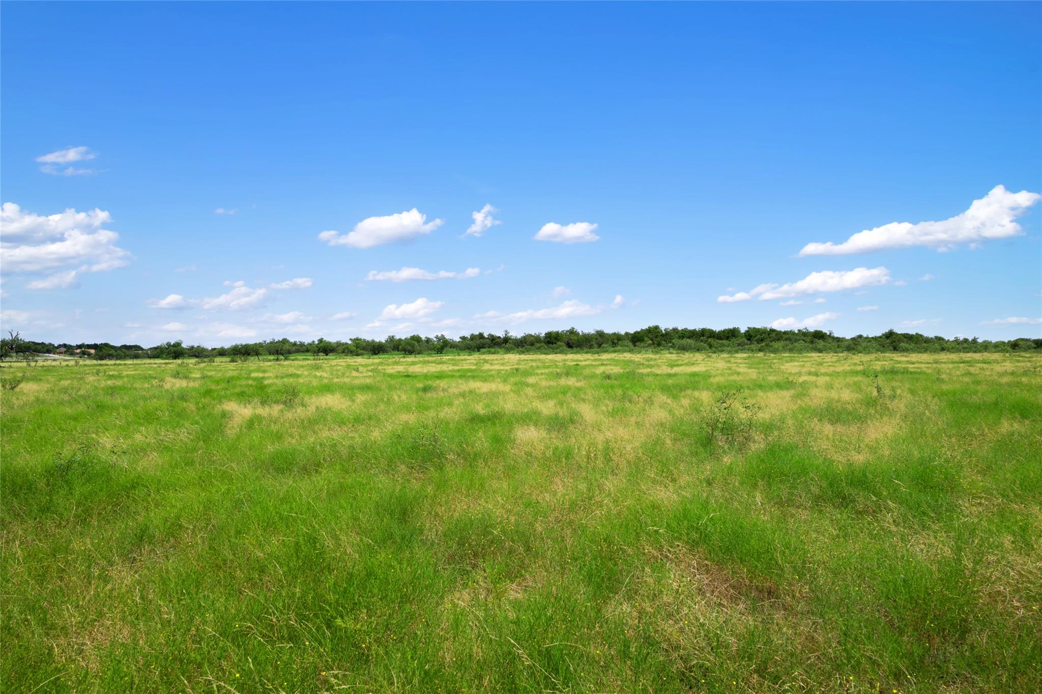 1775 County Road 305 Rd, Jarrell, TX 76537