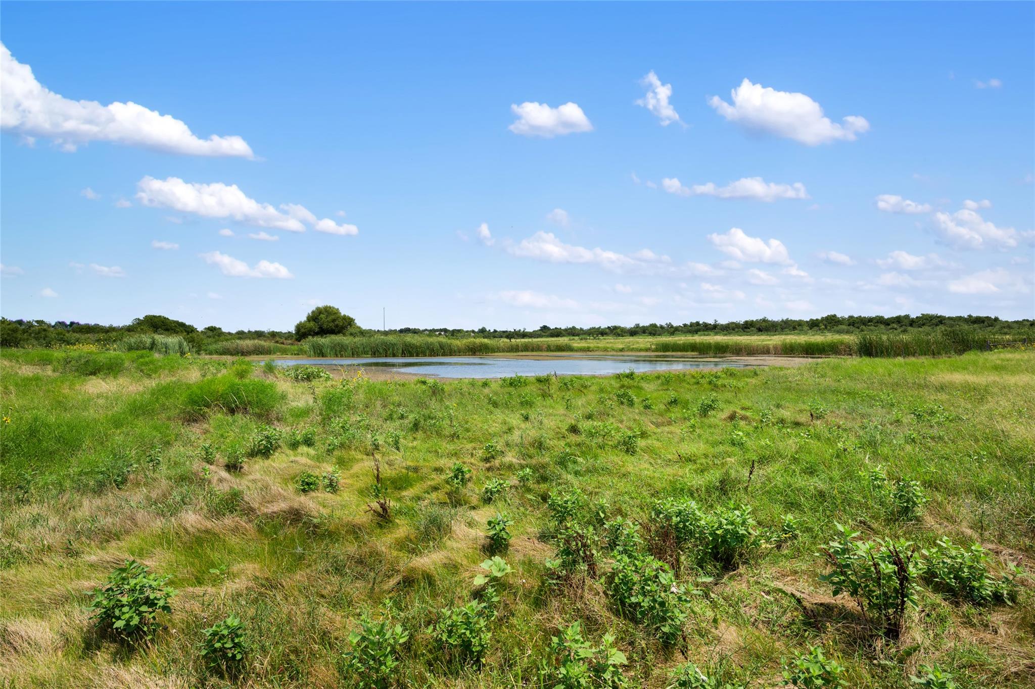 1775 County Road 305 Rd, Jarrell, TX 76537