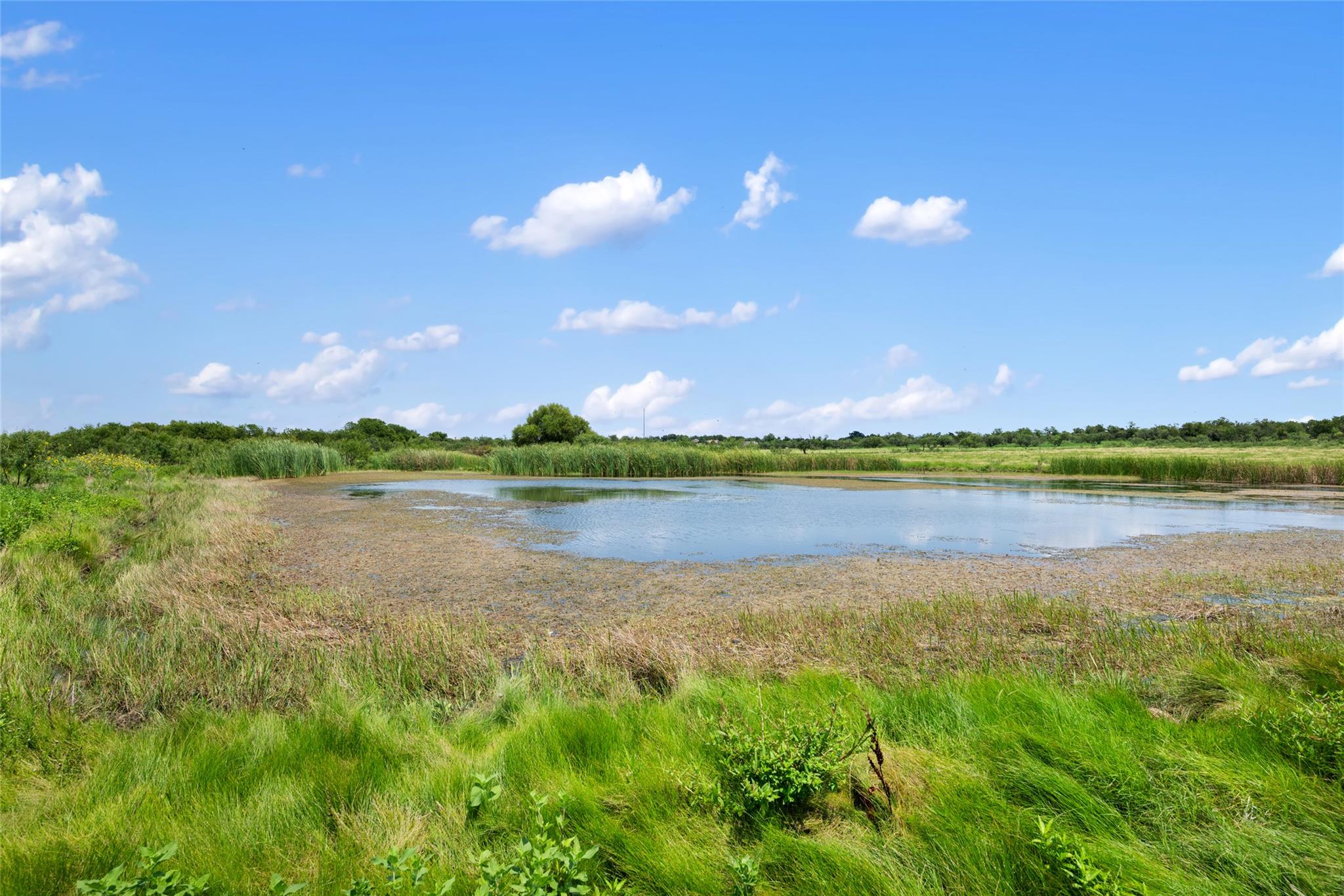 1775 County Road 305 Rd, Jarrell, TX 76537