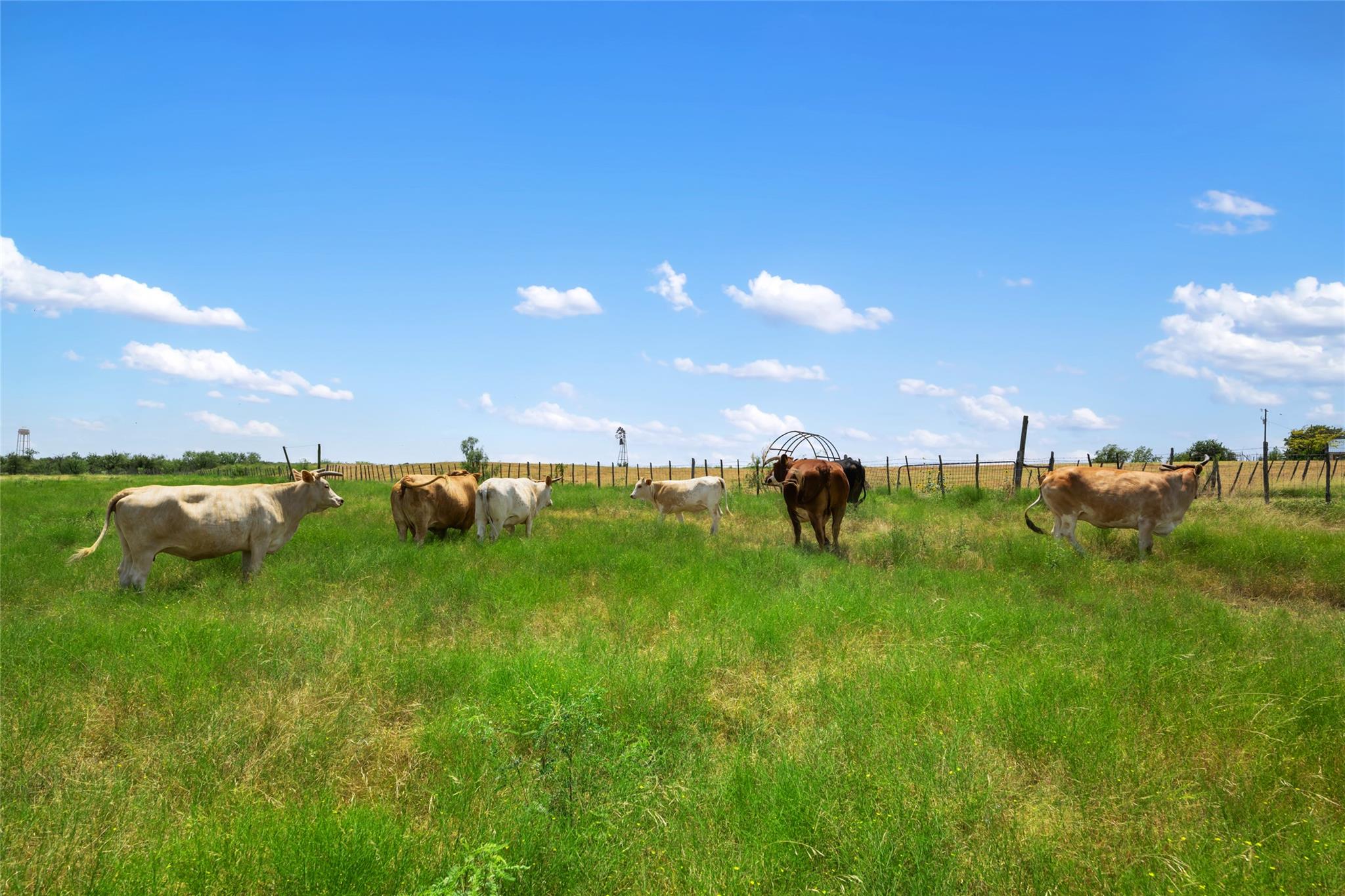 1775 County Road 305 Rd, Jarrell, TX 76537