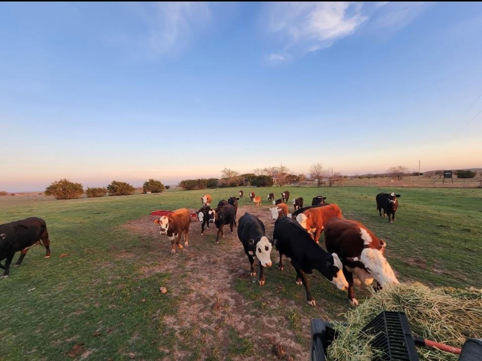 1140 County Road 130, Gatesville, TX 76528