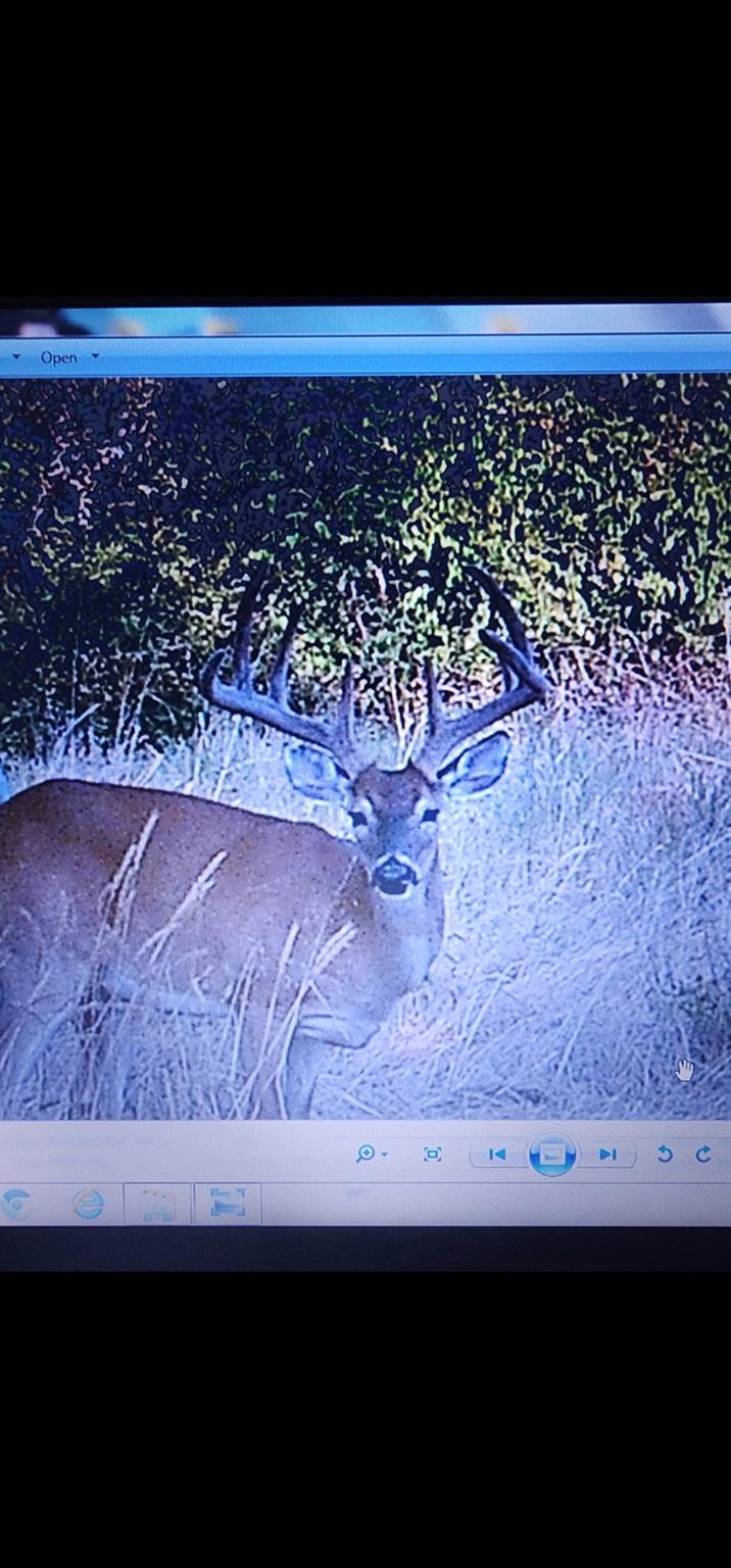 1140 County Road 130, Gatesville, TX 76528