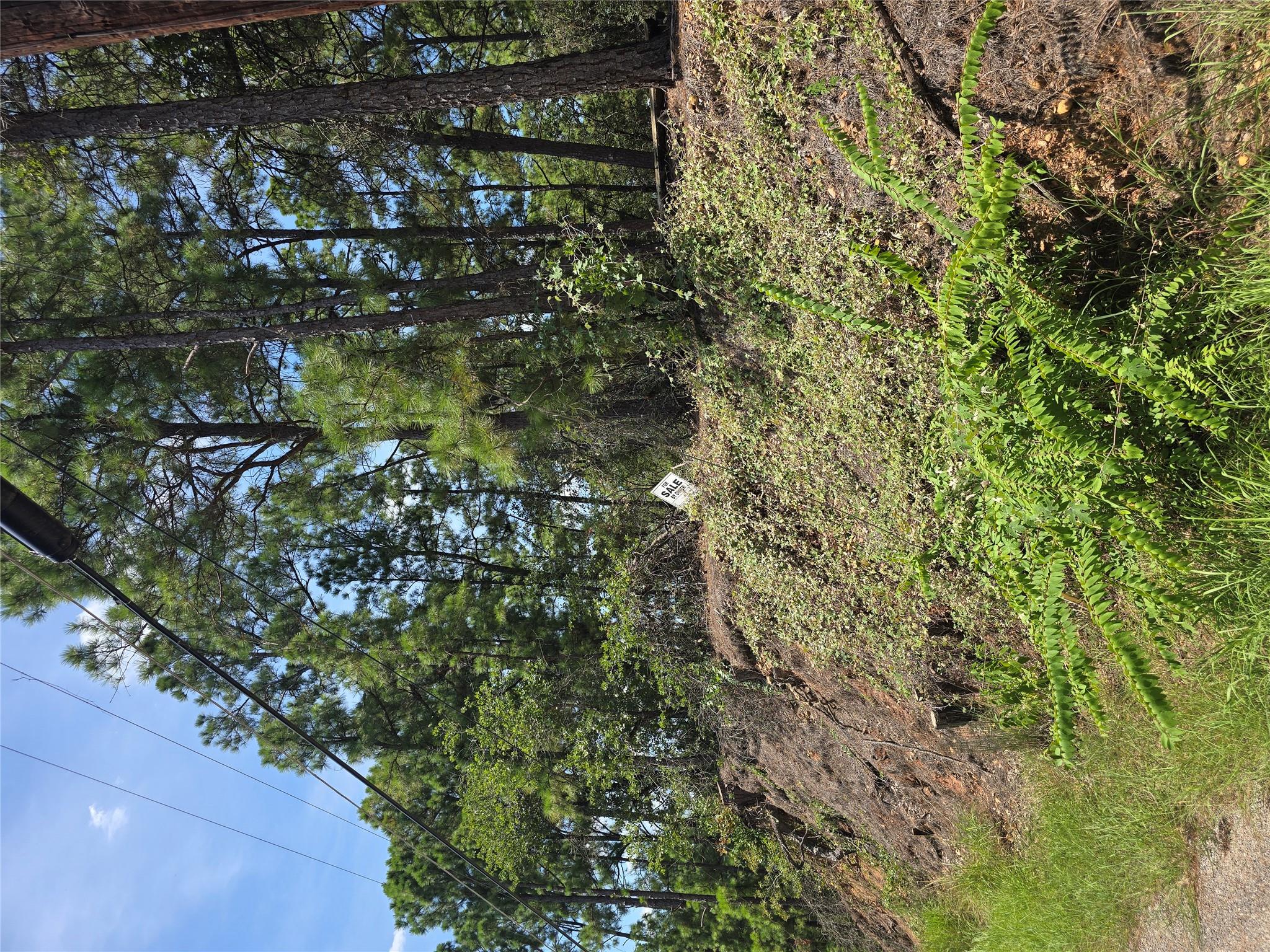 LOT 136 Akaloa Dr, Bastrop, TX 78602
