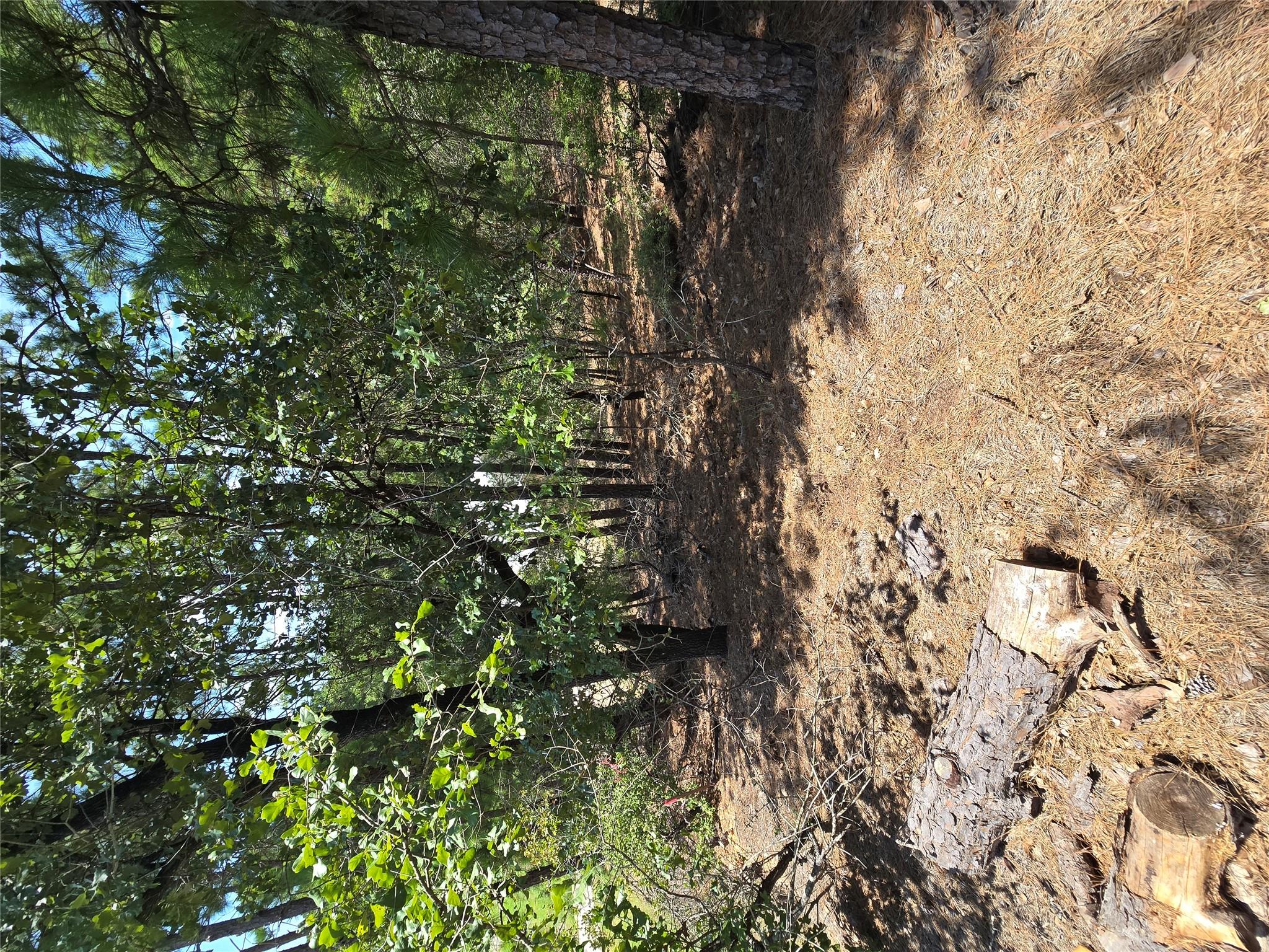 LOT 136 Akaloa Dr, Bastrop, TX 78602