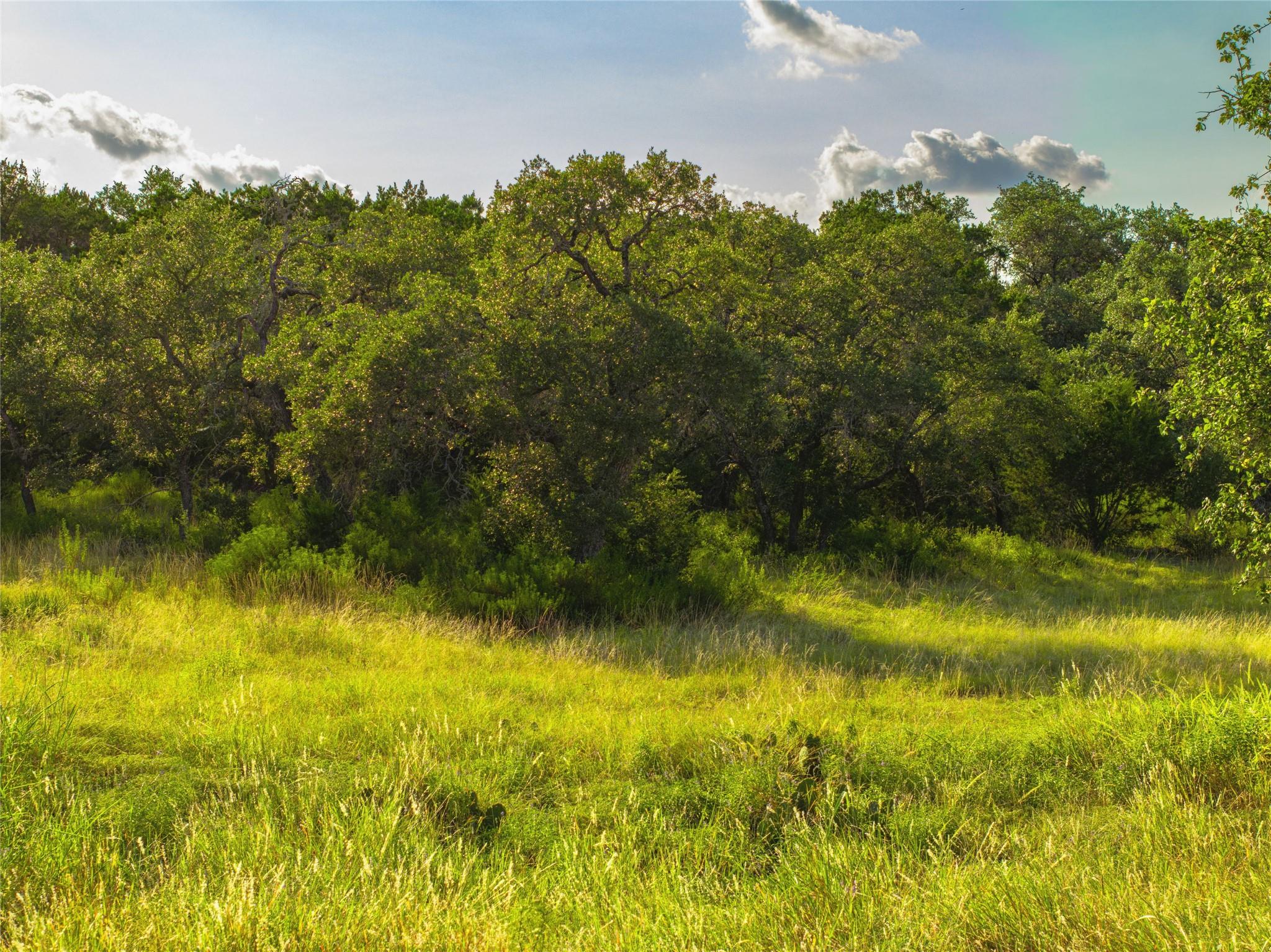 181 Spring Mountain Dr, Canyon Lake, TX 78133