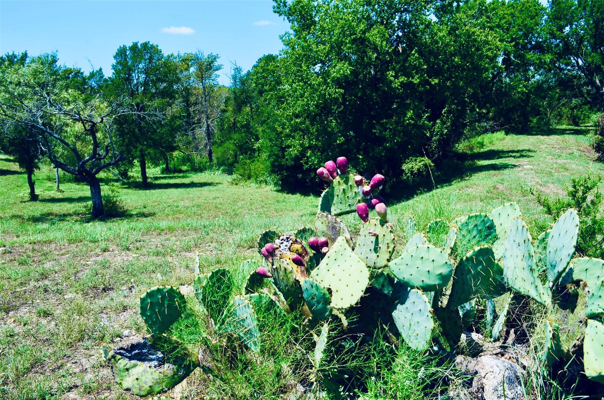 8060 County Road 210 Rd, Bertram, TX 78605