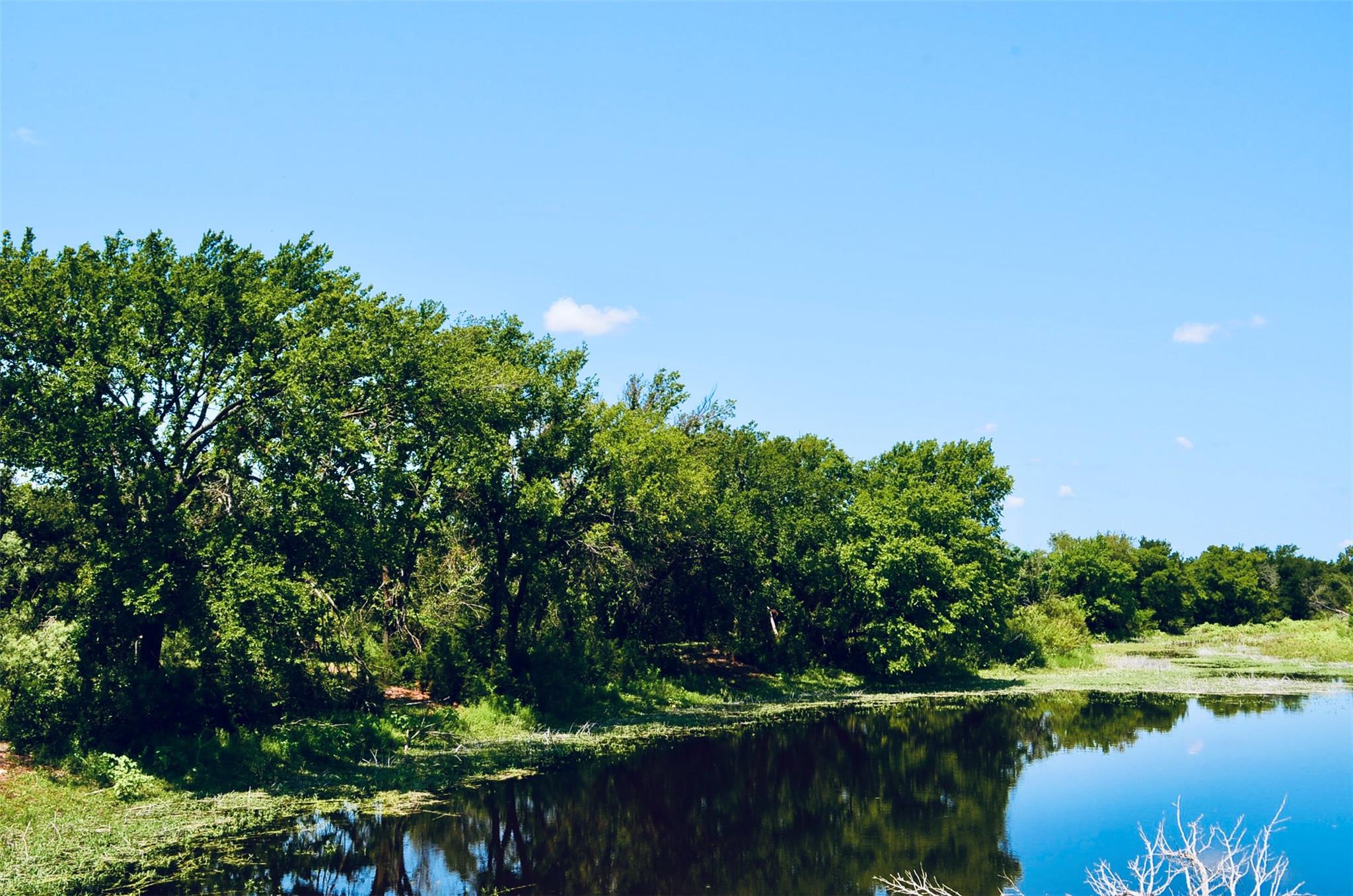 8060 County Road 210 Rd, Bertram, TX 78605